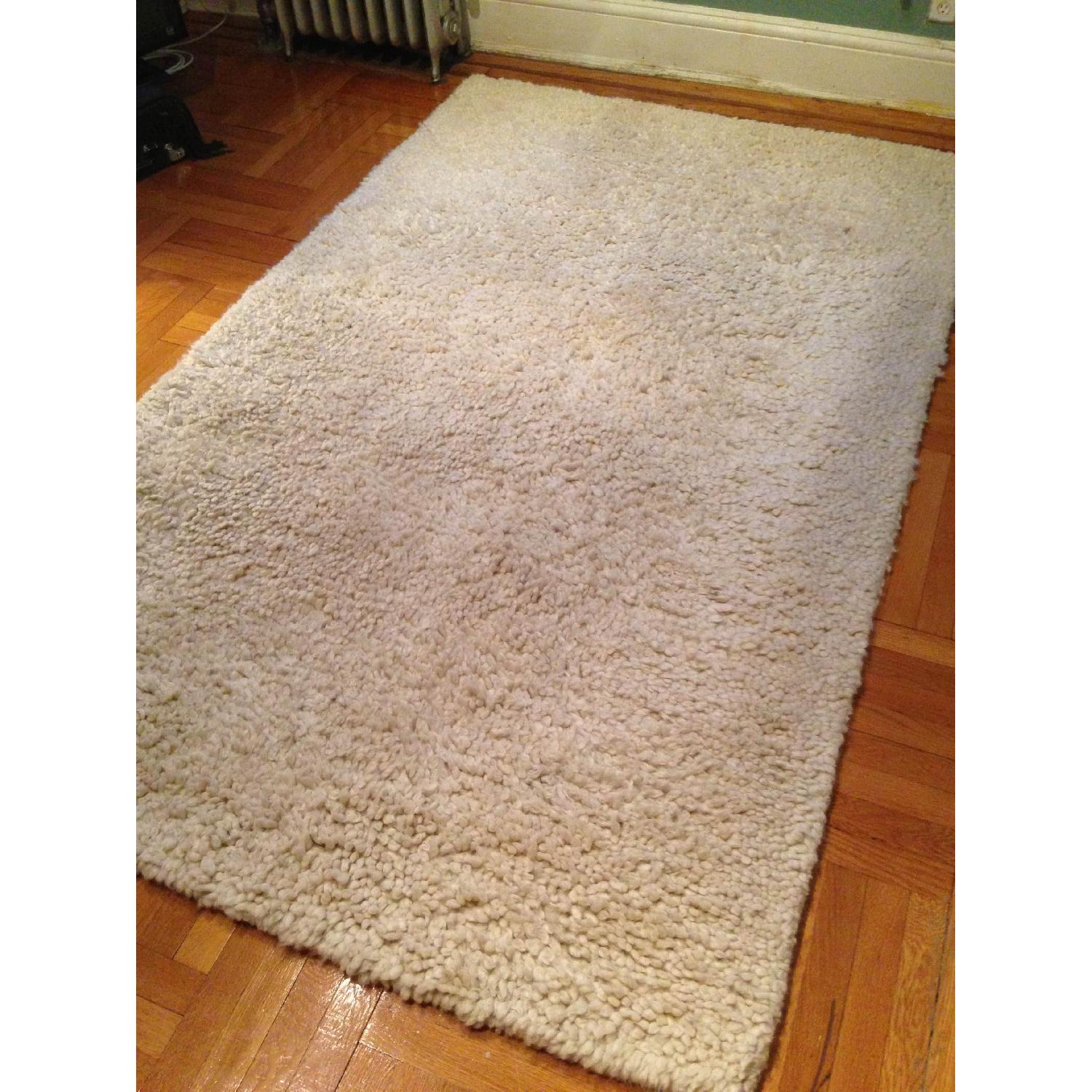 Pottery Barn Dalton Shag Rug AptDeco