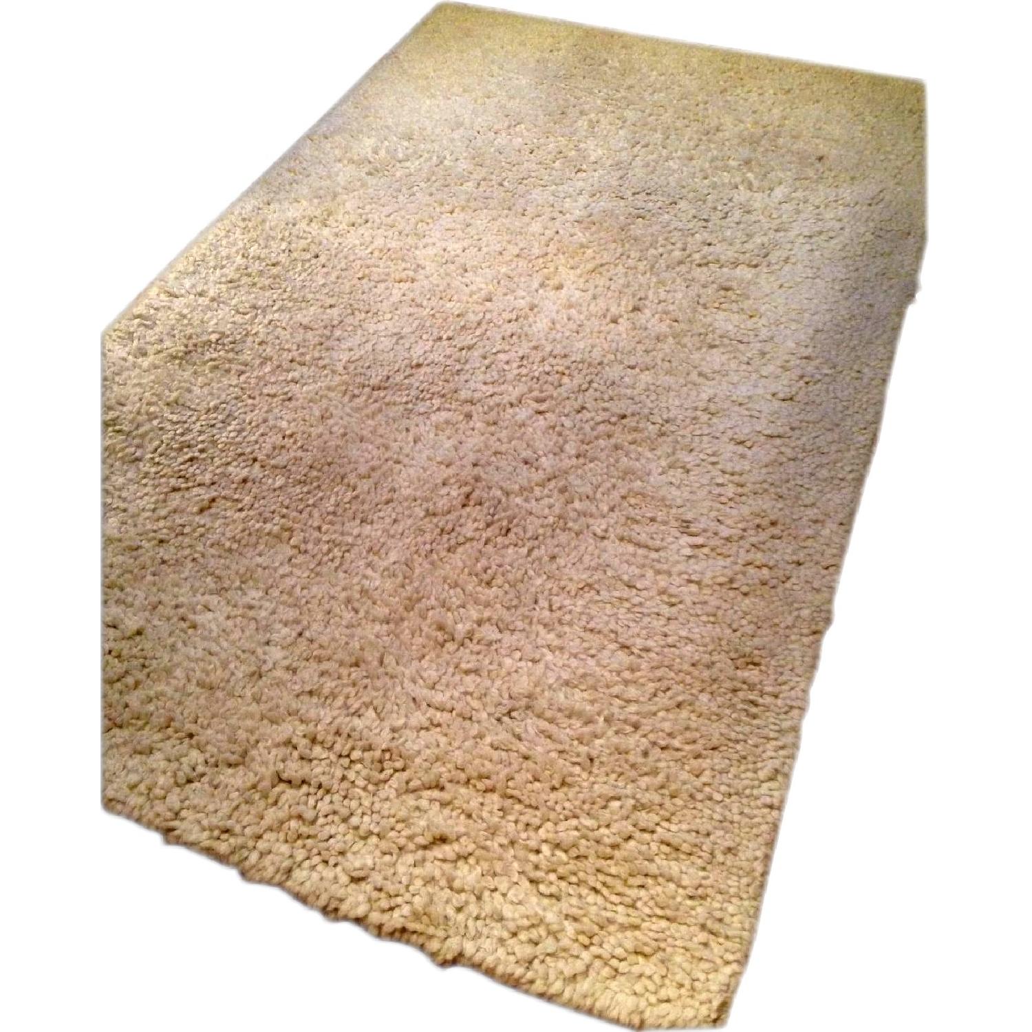 Pottery Barn Dalton Shag Rug AptDeco