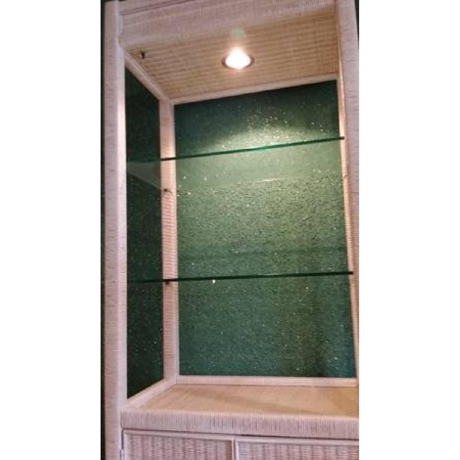 Henry Link Tall Wicker Cabinets w/ Glass Shelves & Lighting - image-12