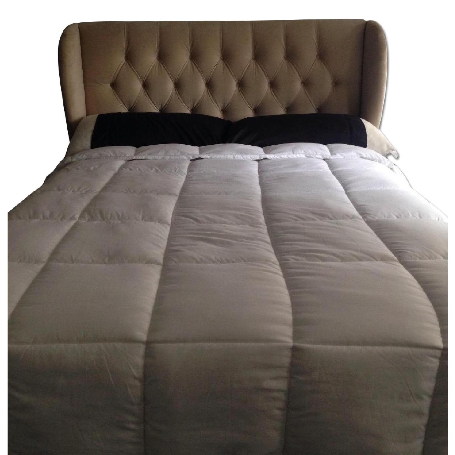 Wayfair Queen Size Bed Frame AptDeco