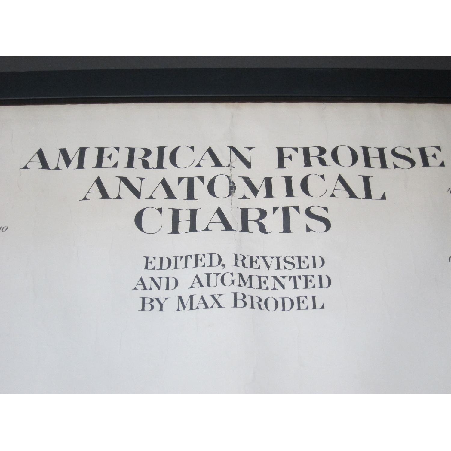 Vintage Medical Anatomy Skeleton Poster - image-2