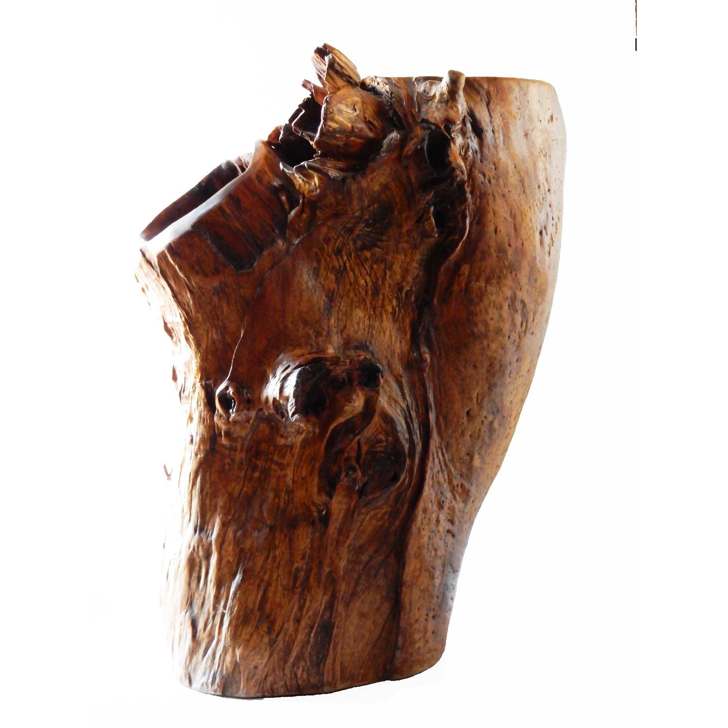 Oversized Natural Wood Trunk Tree Sculpture - image-3