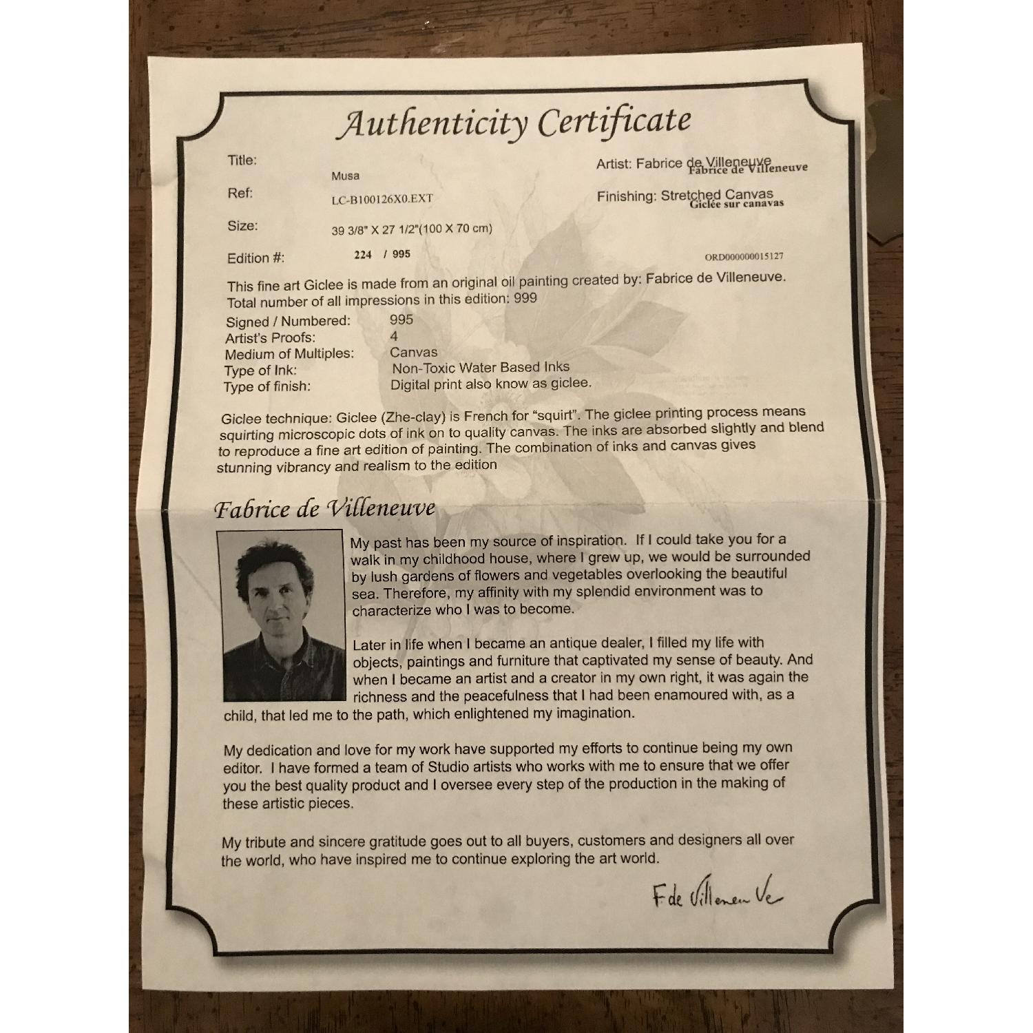 Fabrice de Villeneuve Limited Edition Palm Giclee/Digital Prints - image-4