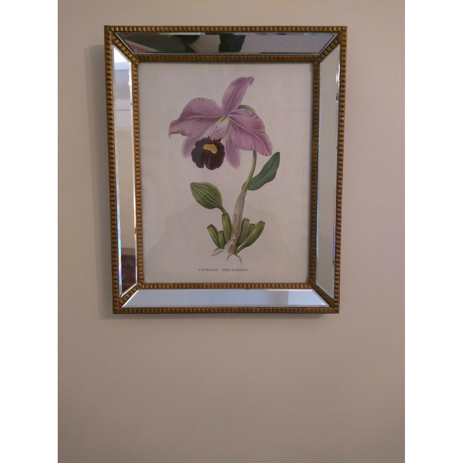 Mirror Framed Botanical Prints - 2 Pairs - image-2