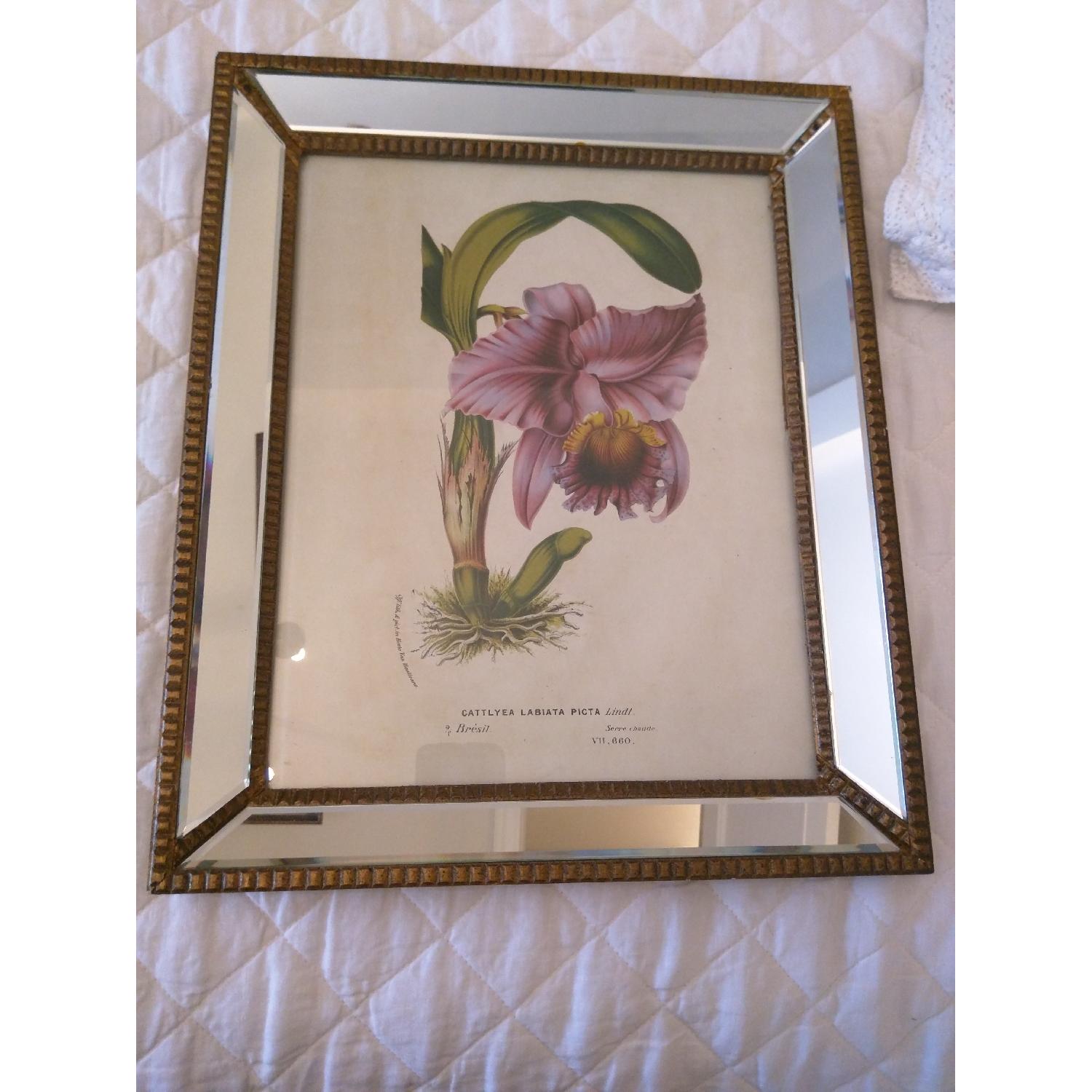 Mirror Framed Botanical Prints - 2 Pairs - image-3