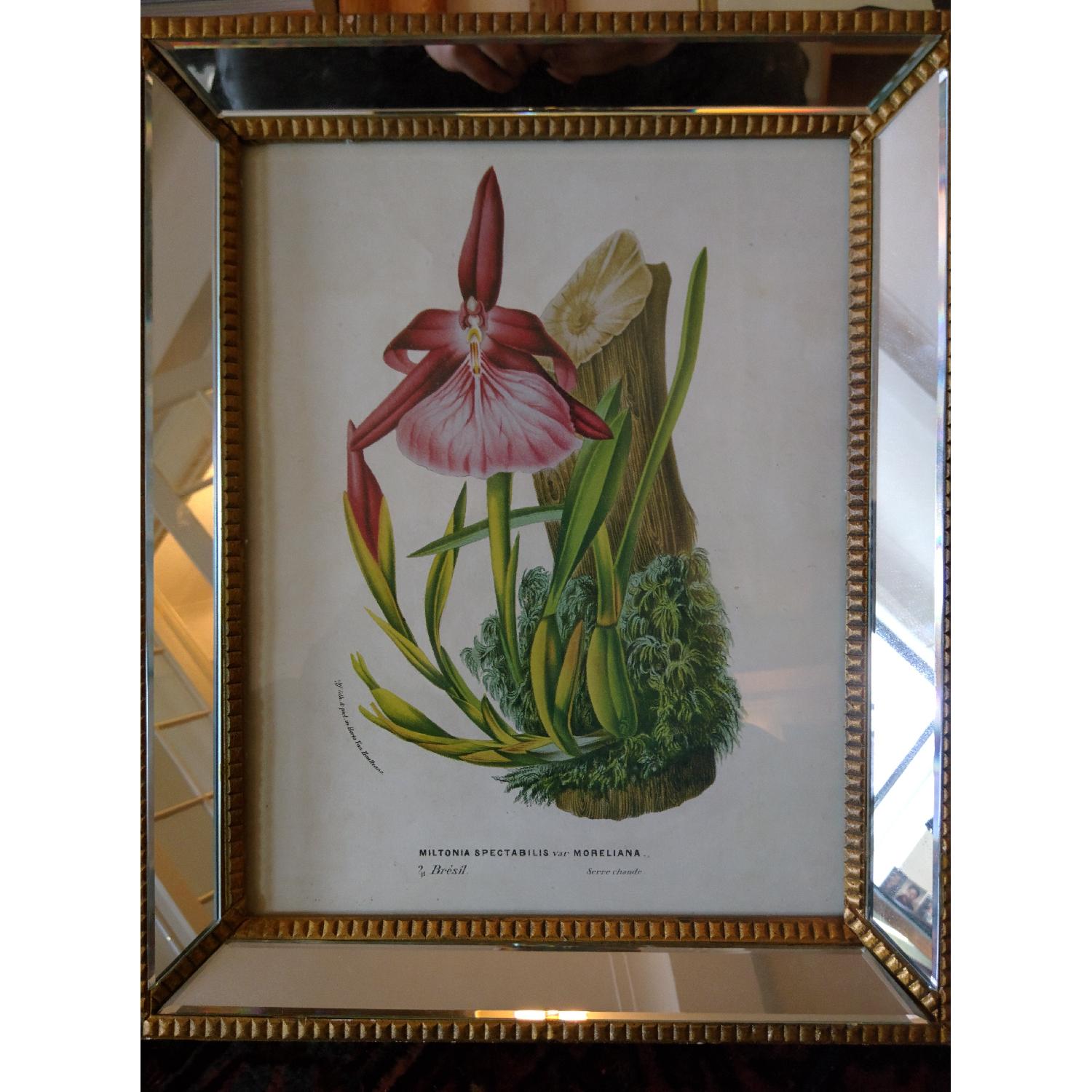 Mirror Framed Botanical Prints - 2 Pairs - image-4