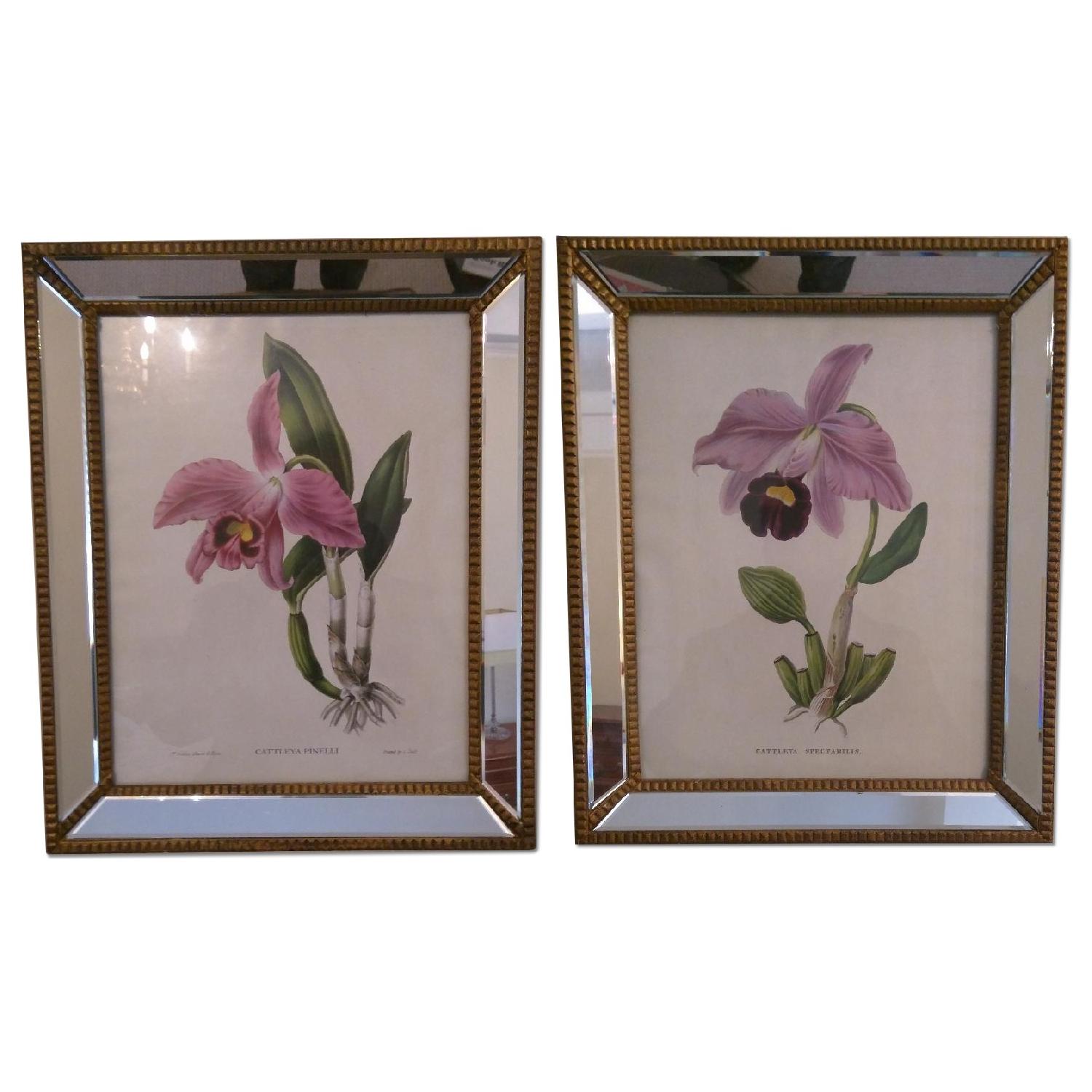 Mirror Framed Botanical Prints - 2 Pairs - image-0