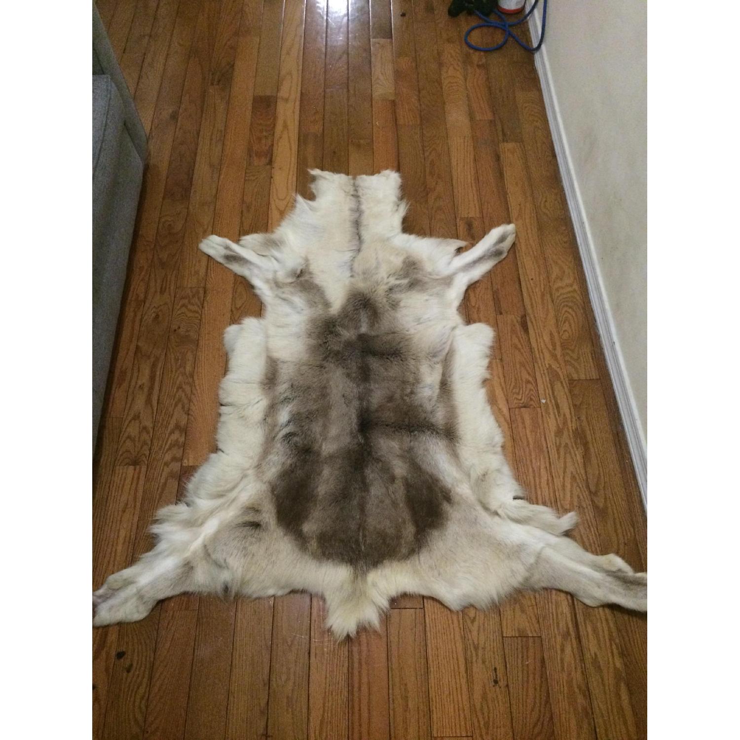 Coyote Fur Rug - image-1