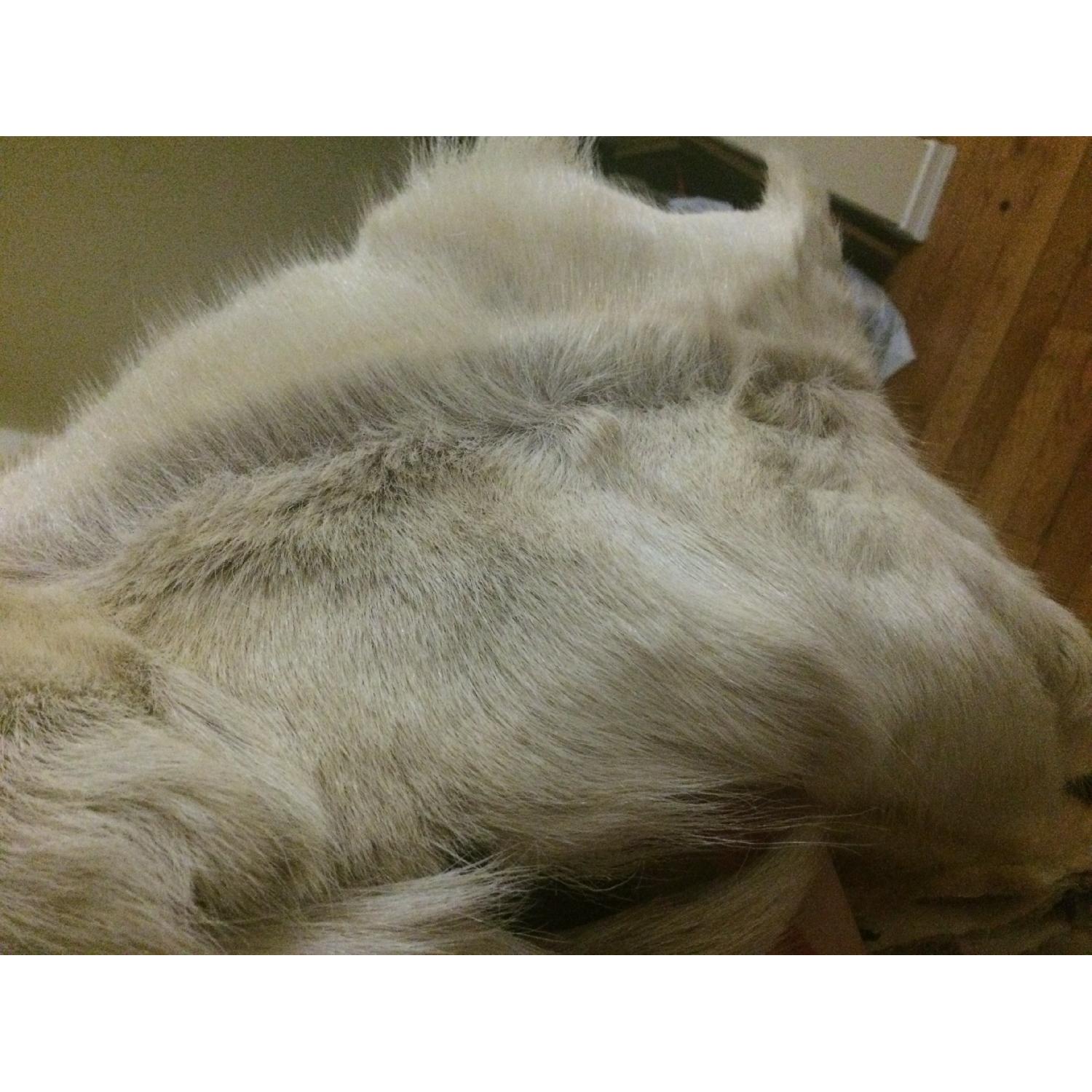 Coyote Fur Rug - image-2