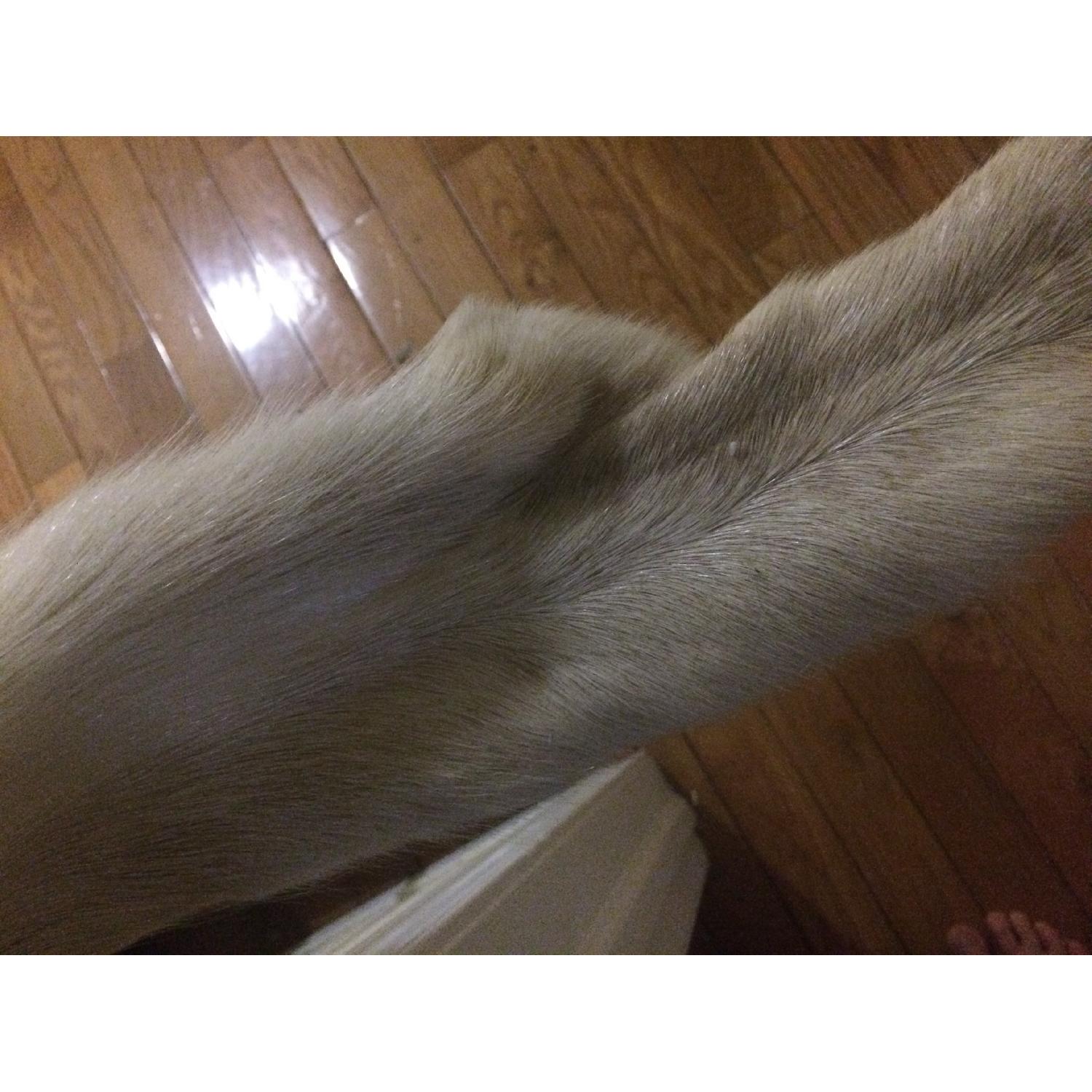 Coyote Fur Rug - image-3