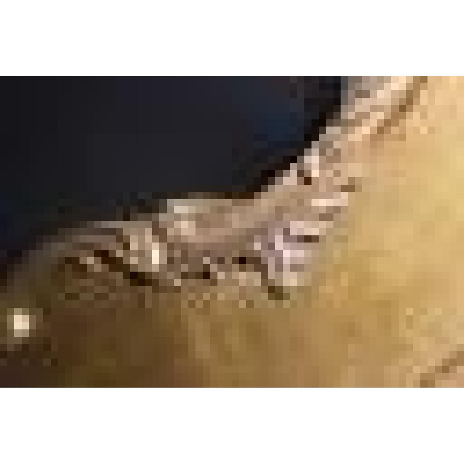 3D King Size Chinoserie Asian Style Headboard - image-4