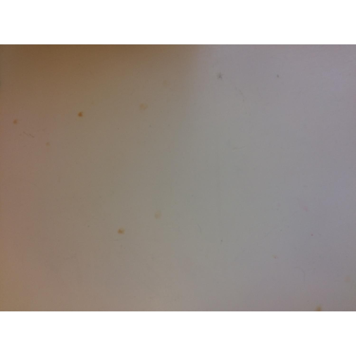 Jessica Mcclintock Romance Collection 4 Piece Bedroom Set - image-11