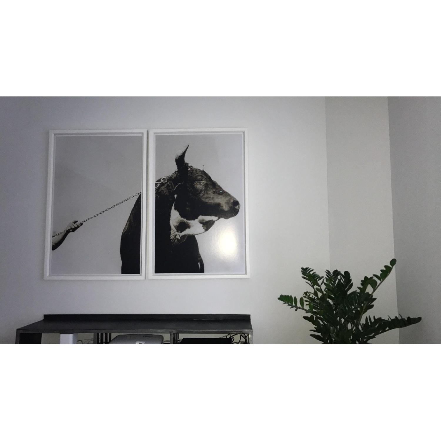 Trowbridge Gallery - Bull & Arm - image-1
