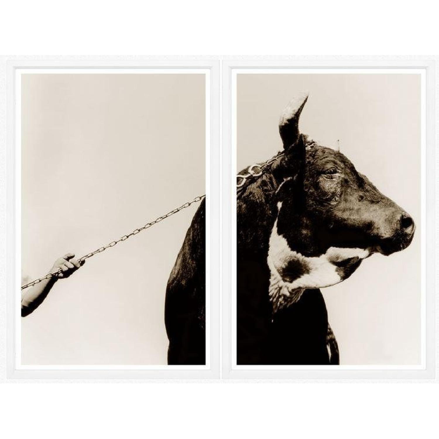 Trowbridge Gallery - Bull & Arm - image-2