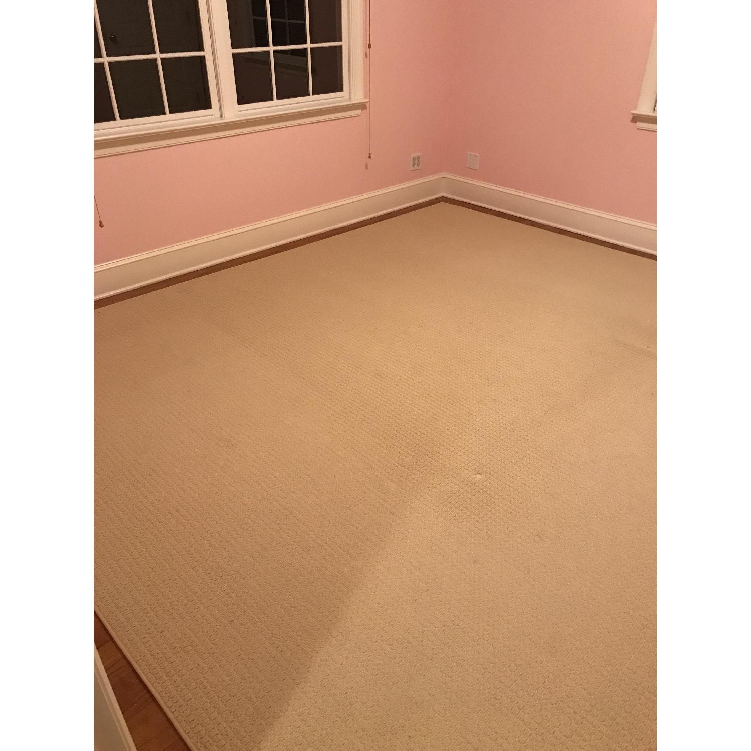 Stark Carpets Neutral Rug - image-1