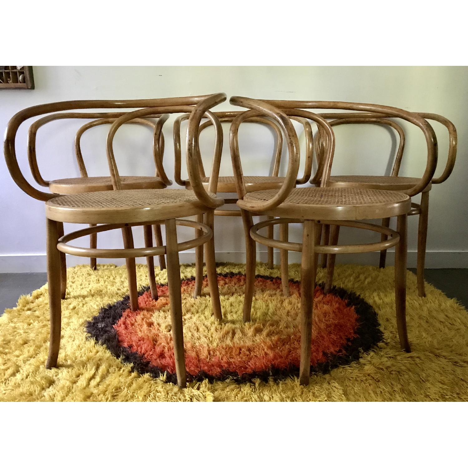 Vintage Bentwood Arm Chairs - image-10