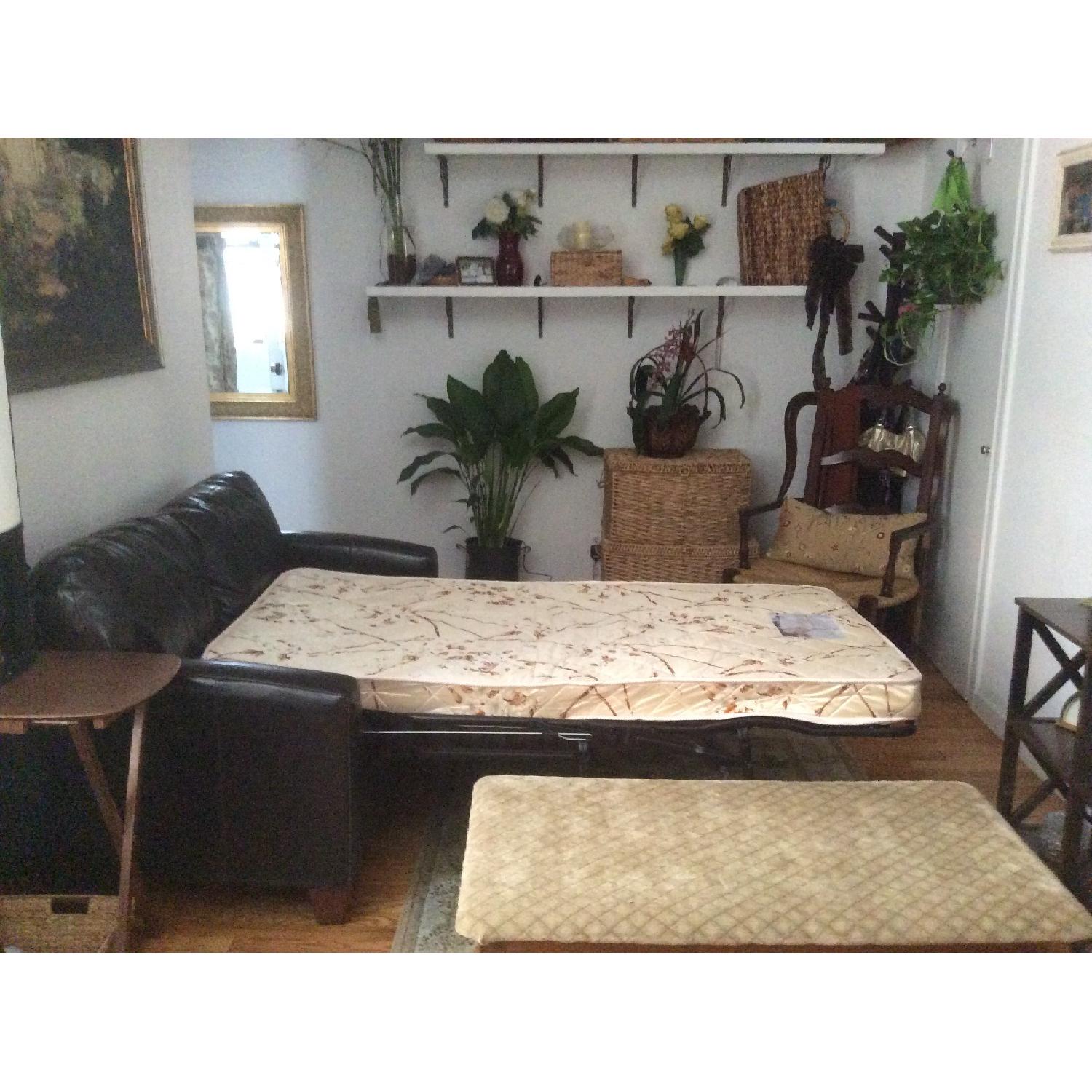 Jennifer Leather Brown Leather Sleeper Sofa - image-1