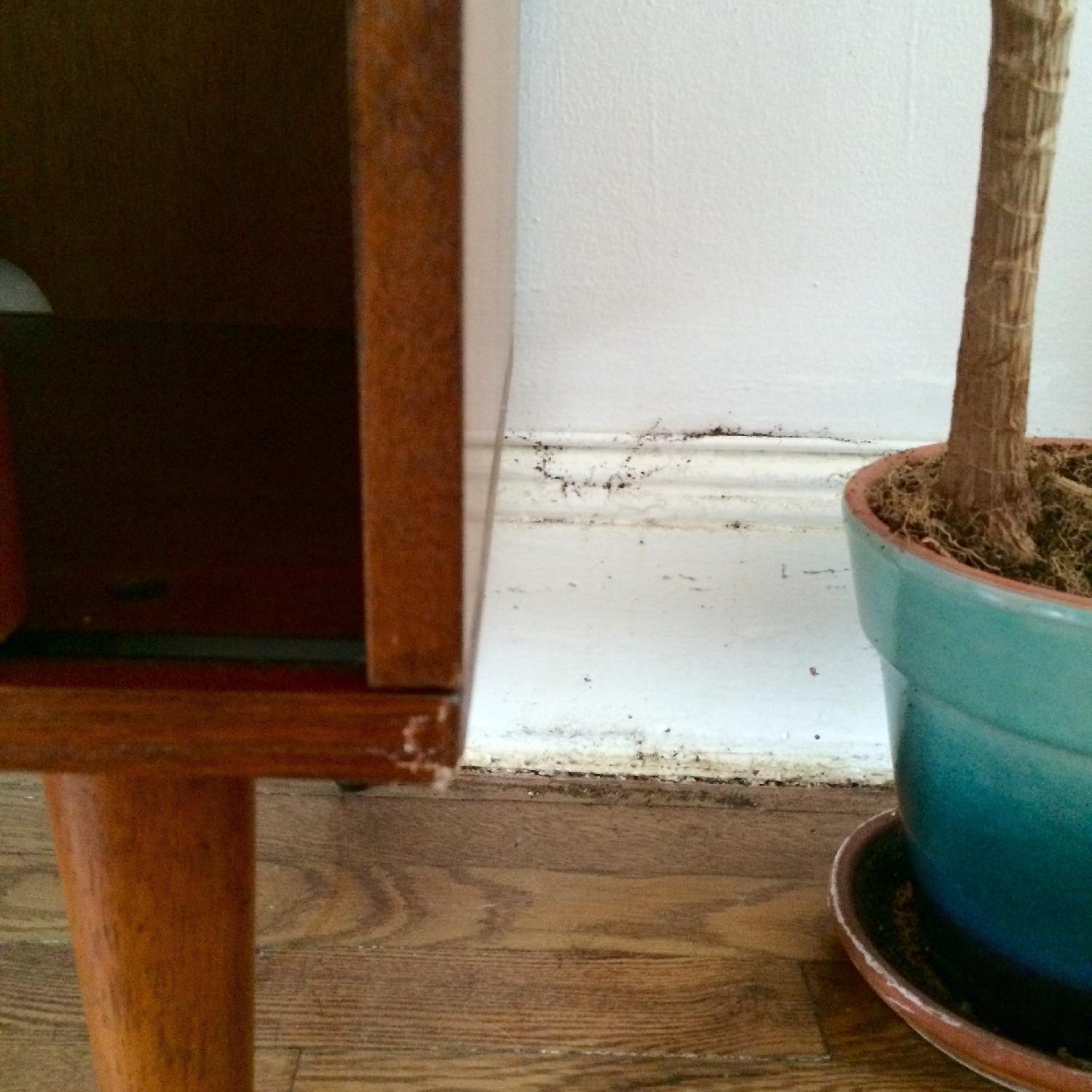 Urban Outfitters Draper Media Console - image-1