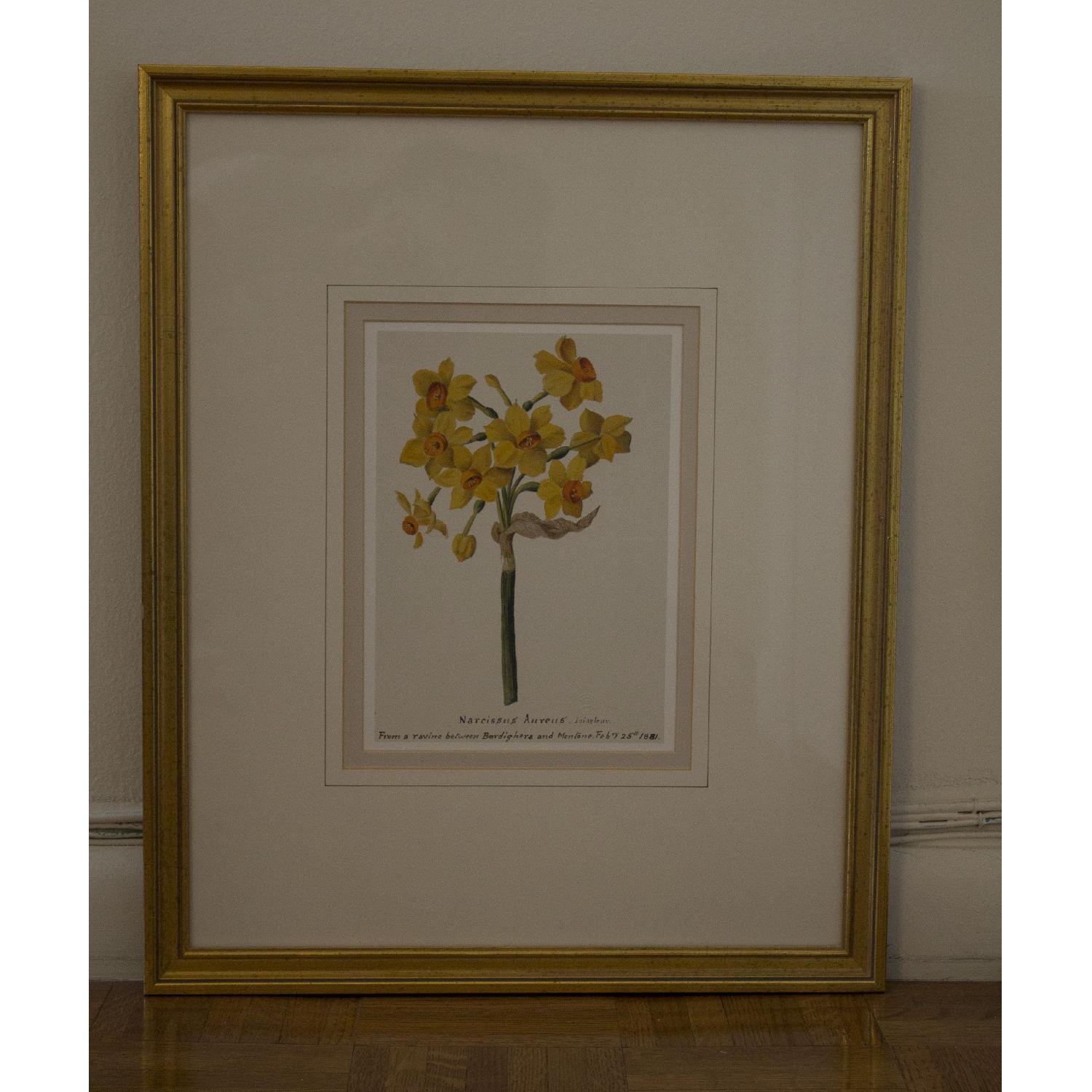 Balangier Gold Framed Botanical Prints - Set of 3 - image-1