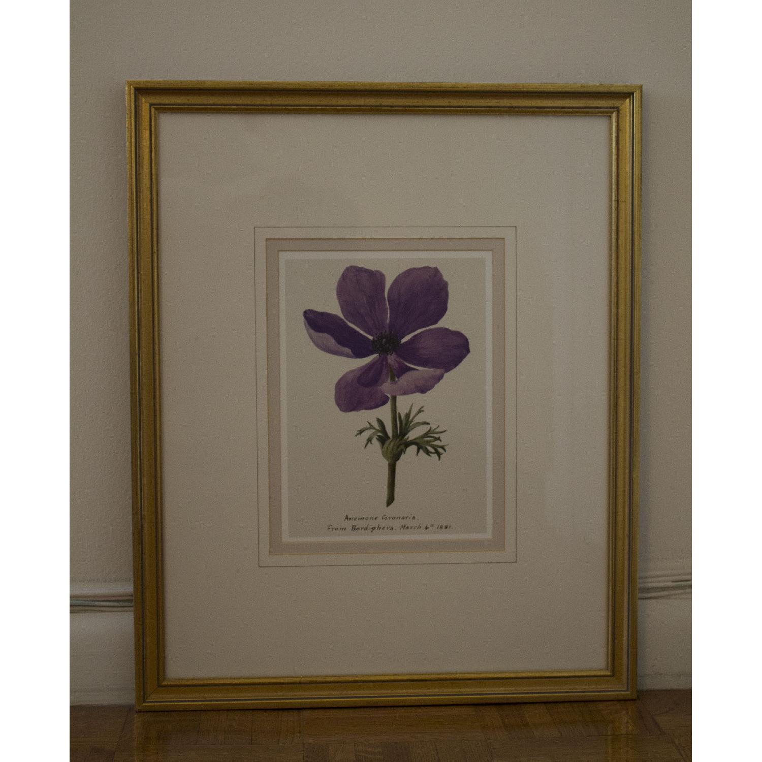 Balangier Gold Framed Botanical Prints - Set of 3 - image-3