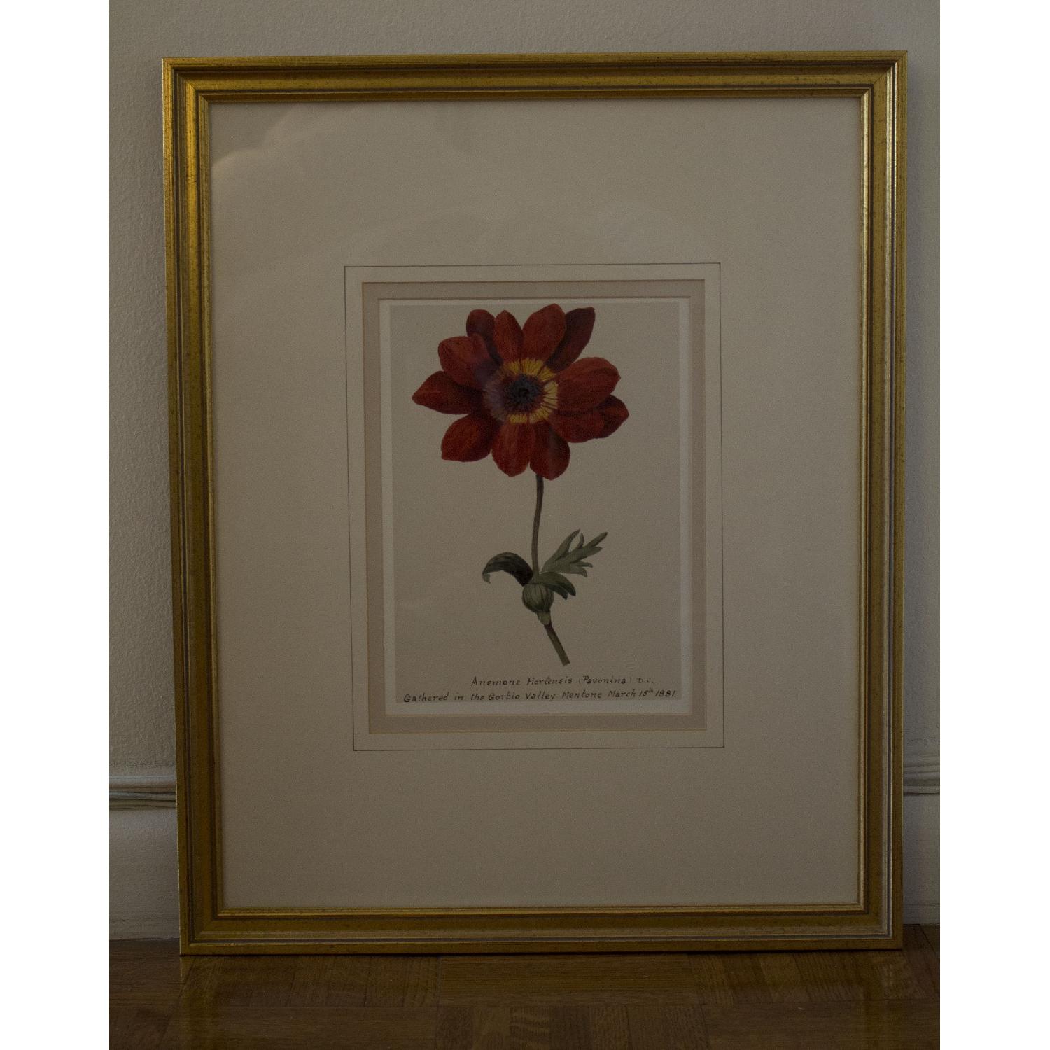 Balangier Gold Framed Botanical Prints - Set of 3 - image-5