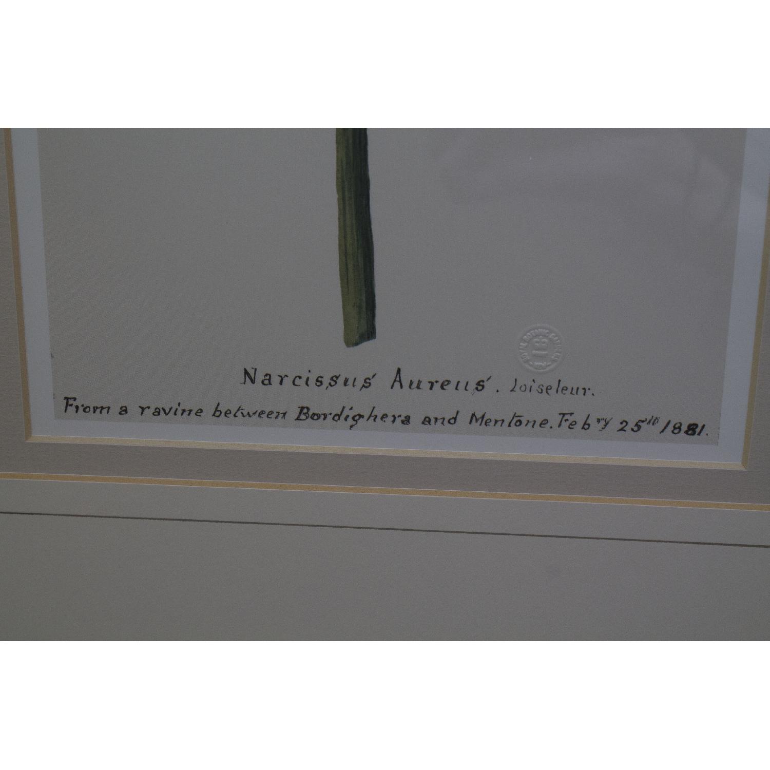 Balangier Gold Framed Botanical Prints - Set of 3 - image-8