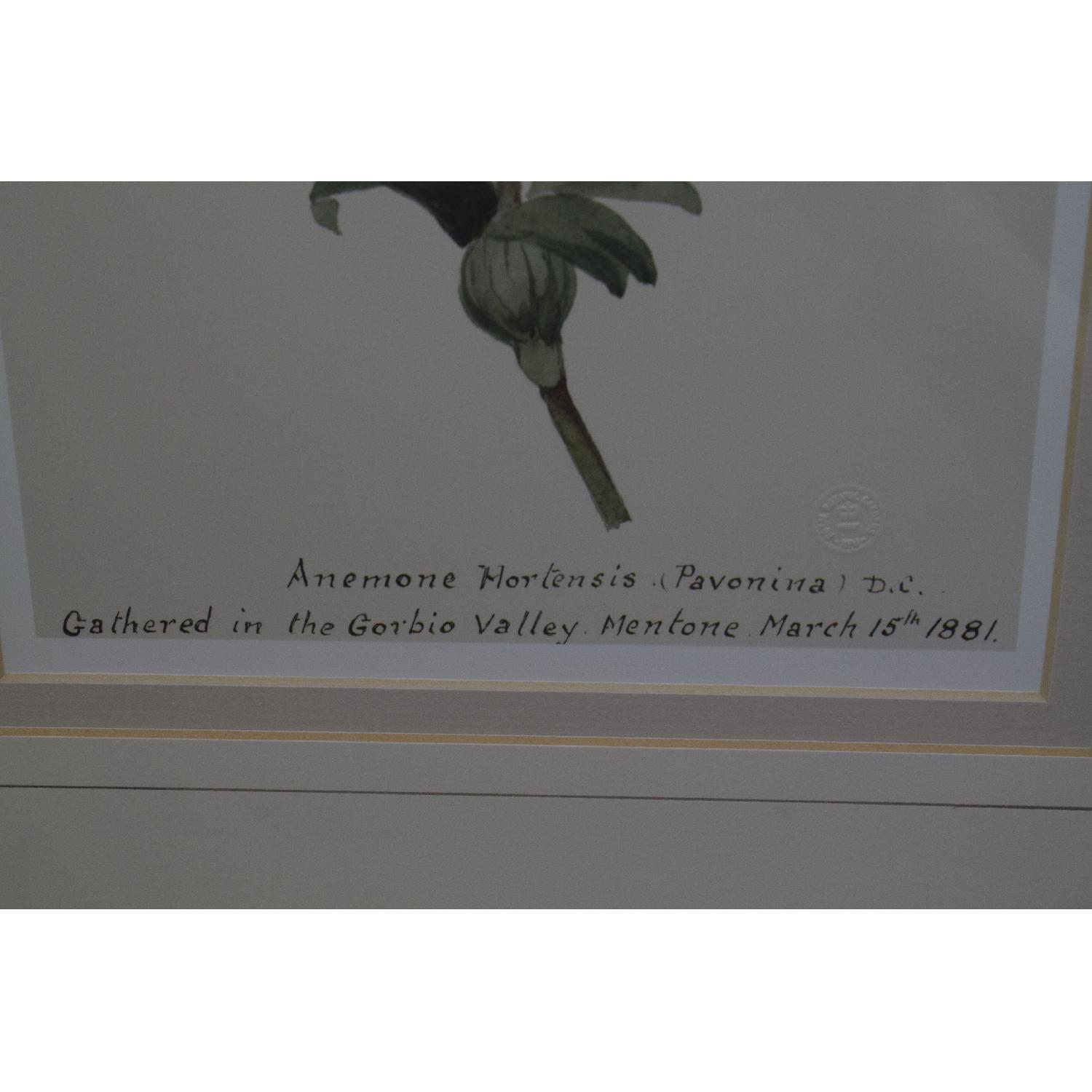 Balangier Gold Framed Botanical Prints - Set of 3 - image-9