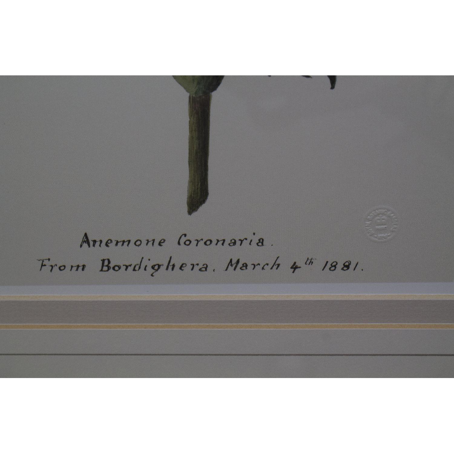 Balangier Gold Framed Botanical Prints - Set of 3 - image-10