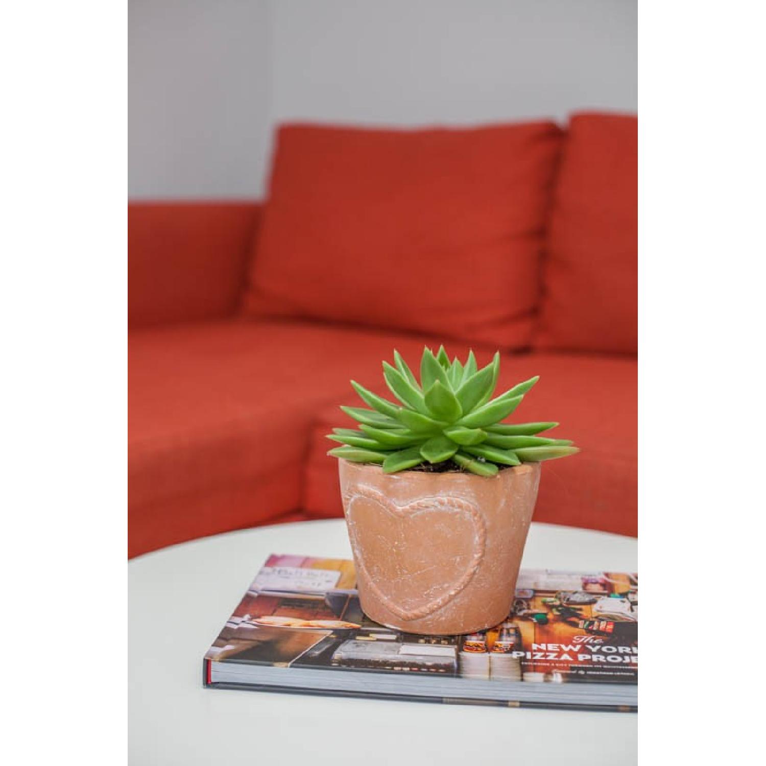 Ikea Friheten Dark Orange Sleeper Sofa w/ Storage - image-3