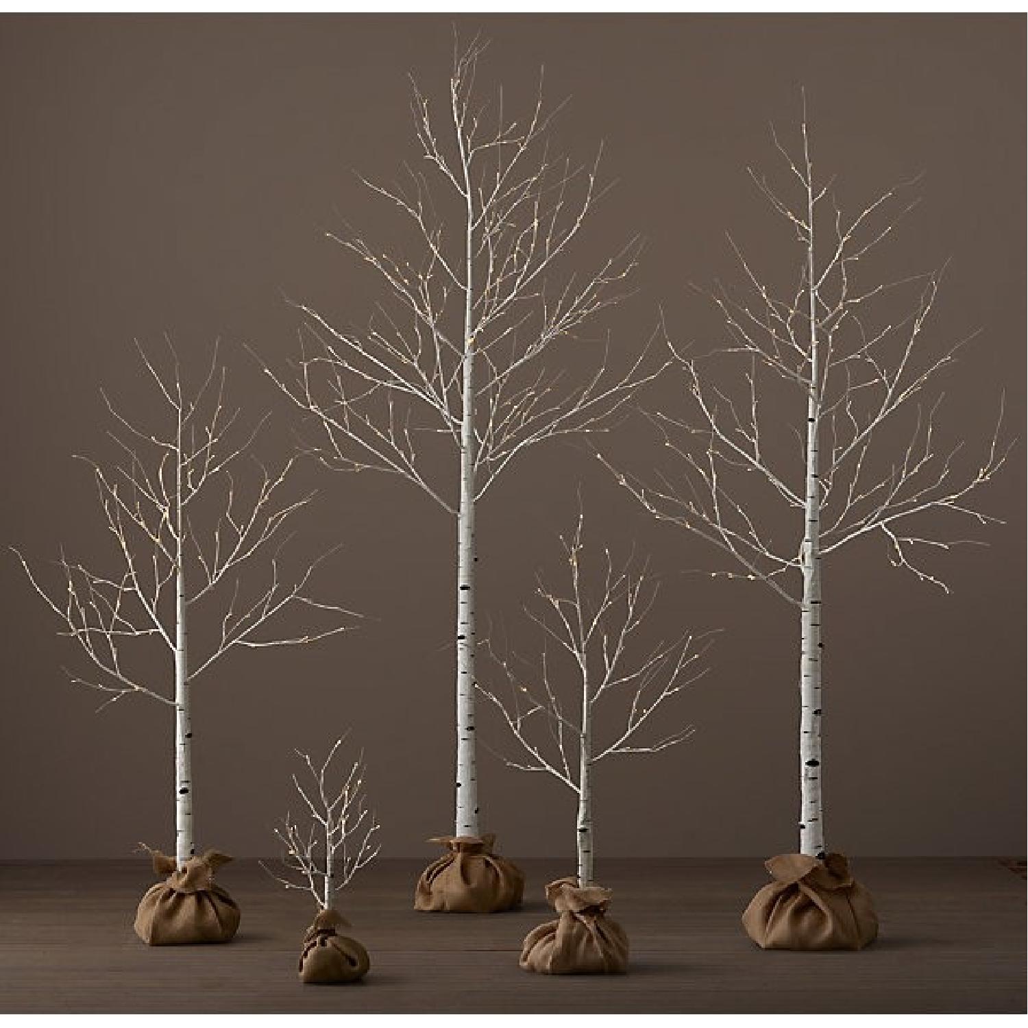Restoration Hardware Winter Wonderland Birch Tree - image-1