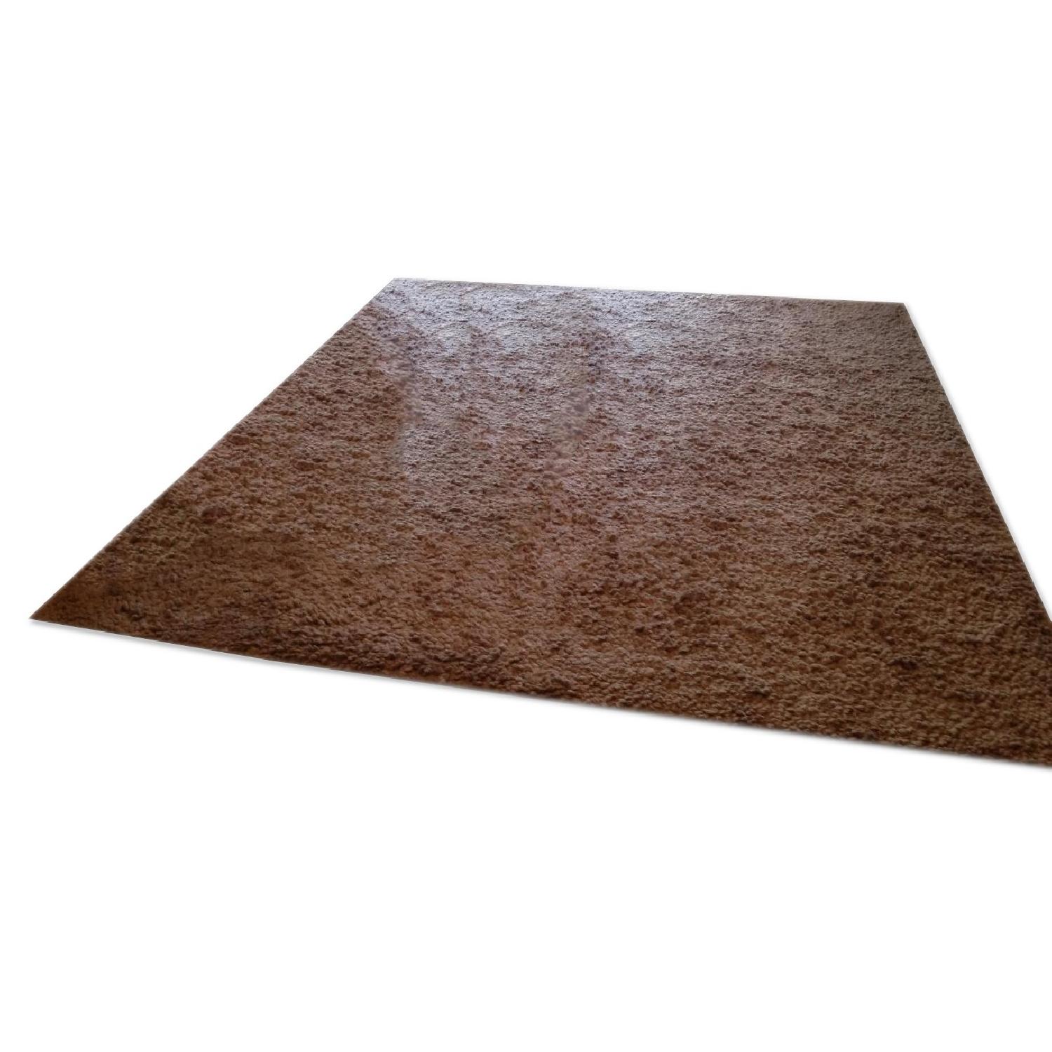 Pottery Barn Wool Rug - image-0