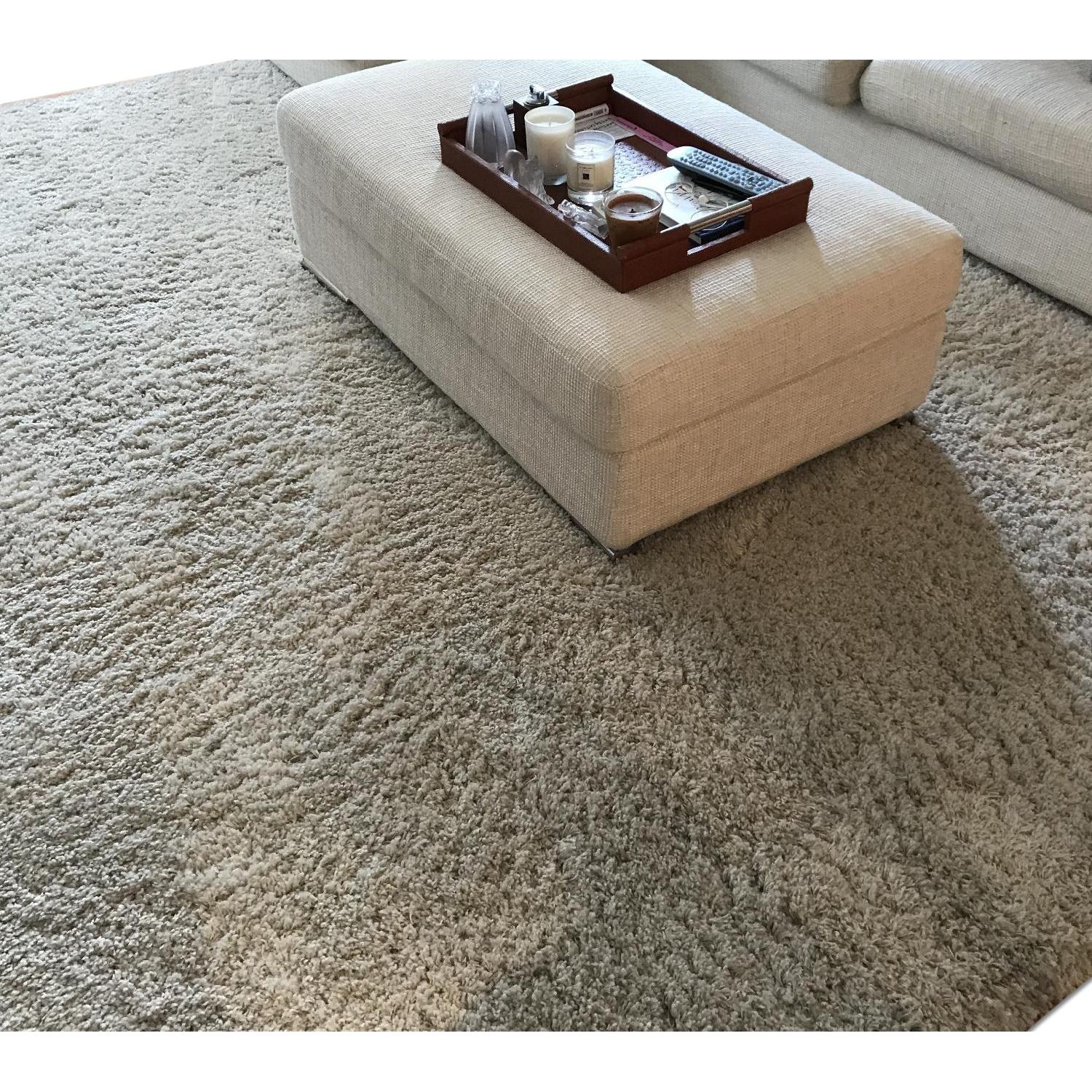 Beige Float Area Rug - AptDeco