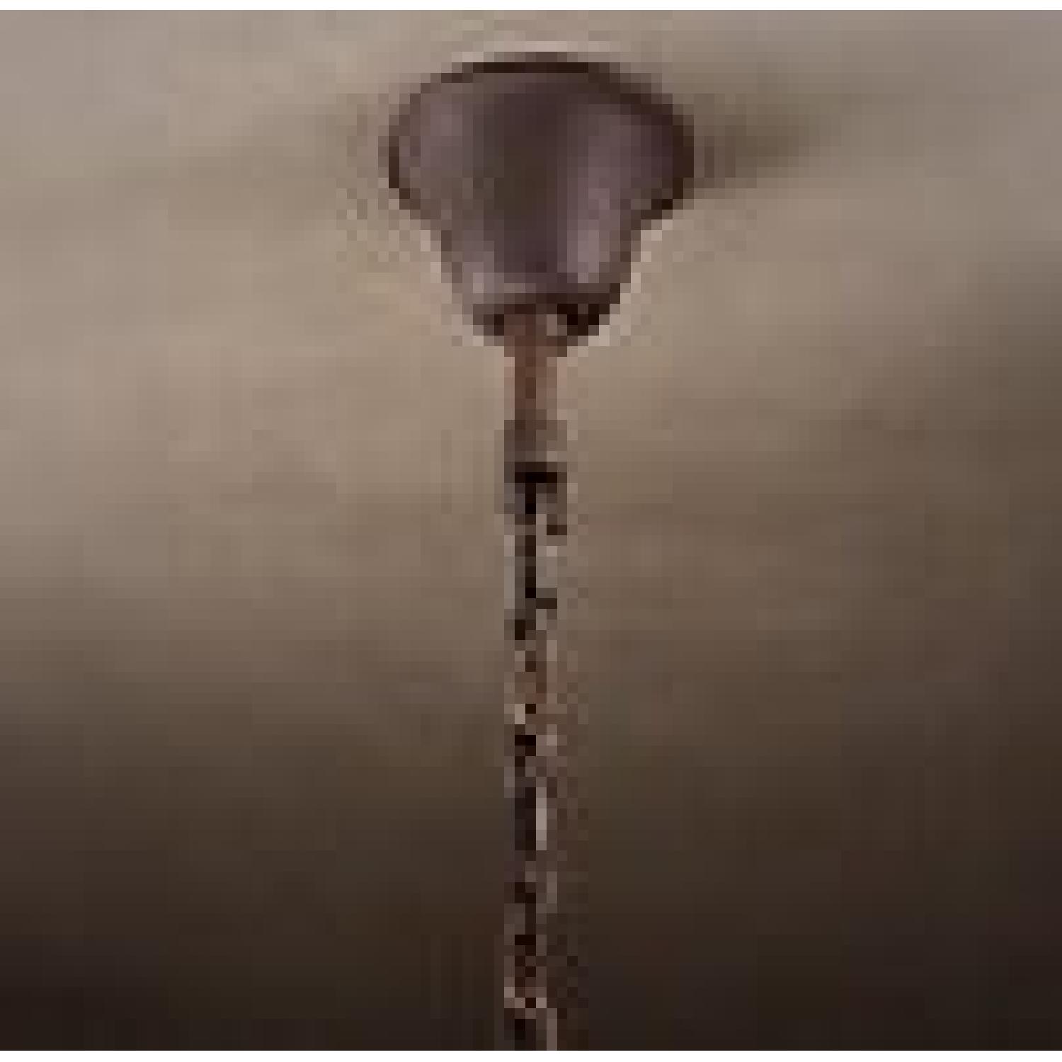 Restoration Hardware Chandelier - image-2