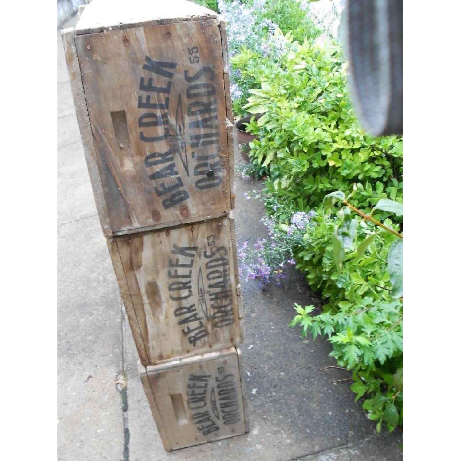 Bear Creek Rustic Shelving Unit - Set of 6 - image-2