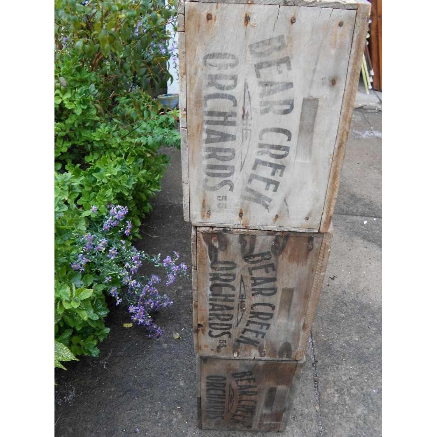 Bear Creek Rustic Shelving Unit - Set of 6 - image-4