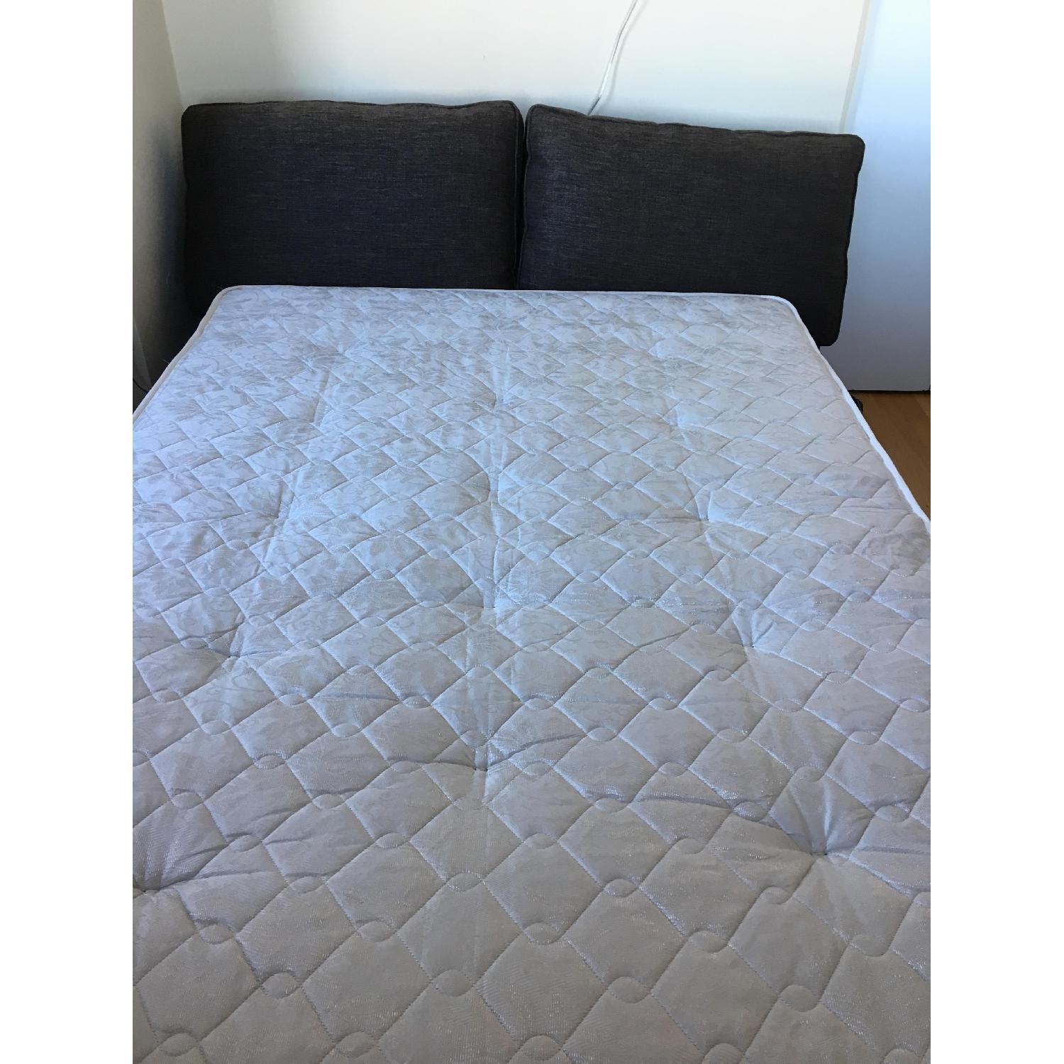 Crate & Barrel Davis Armless Full Sleeper Sofa - image-5