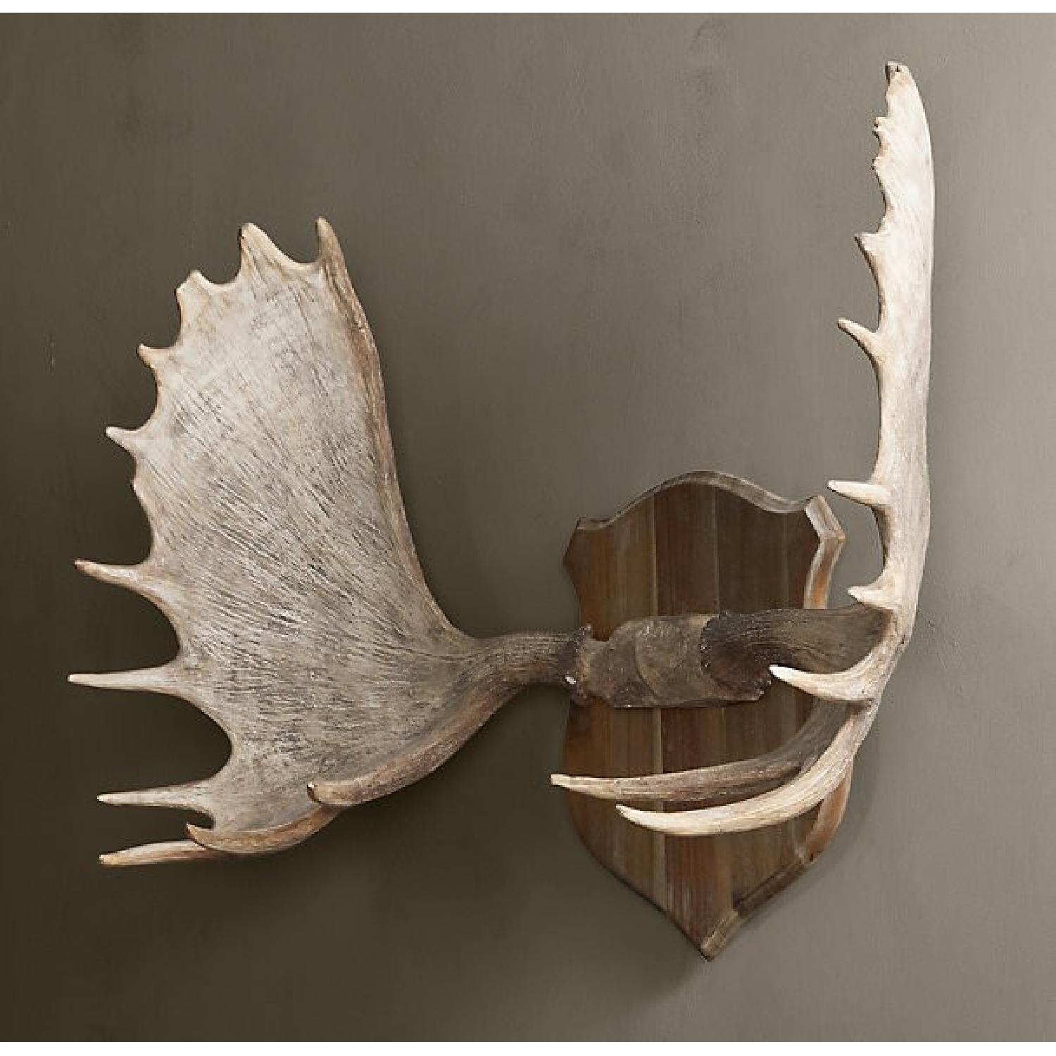 Restoration Hardware Moose Antlers in Cast Resin - image-2