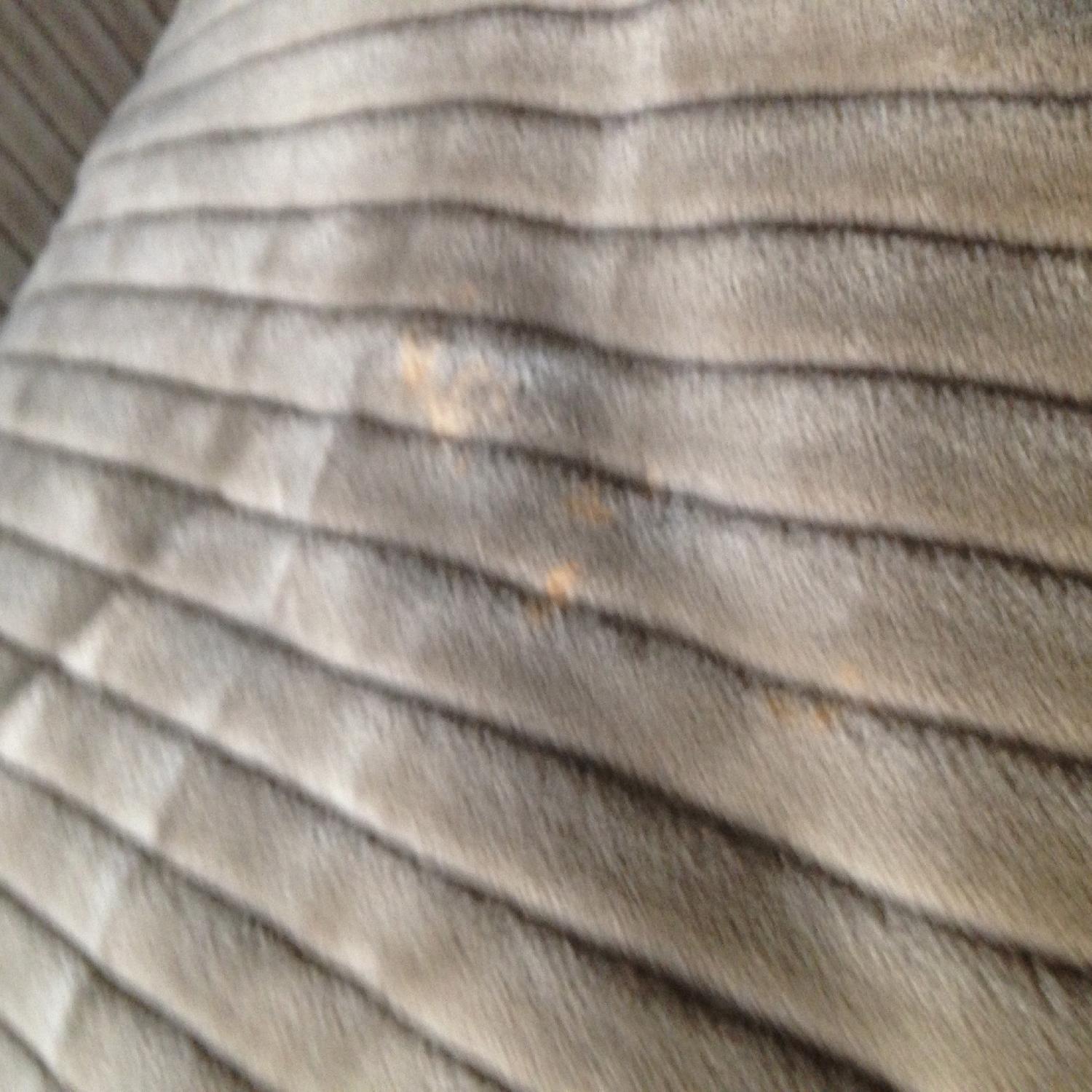 Expression Wide Wale Corduroy Sofa - image-6