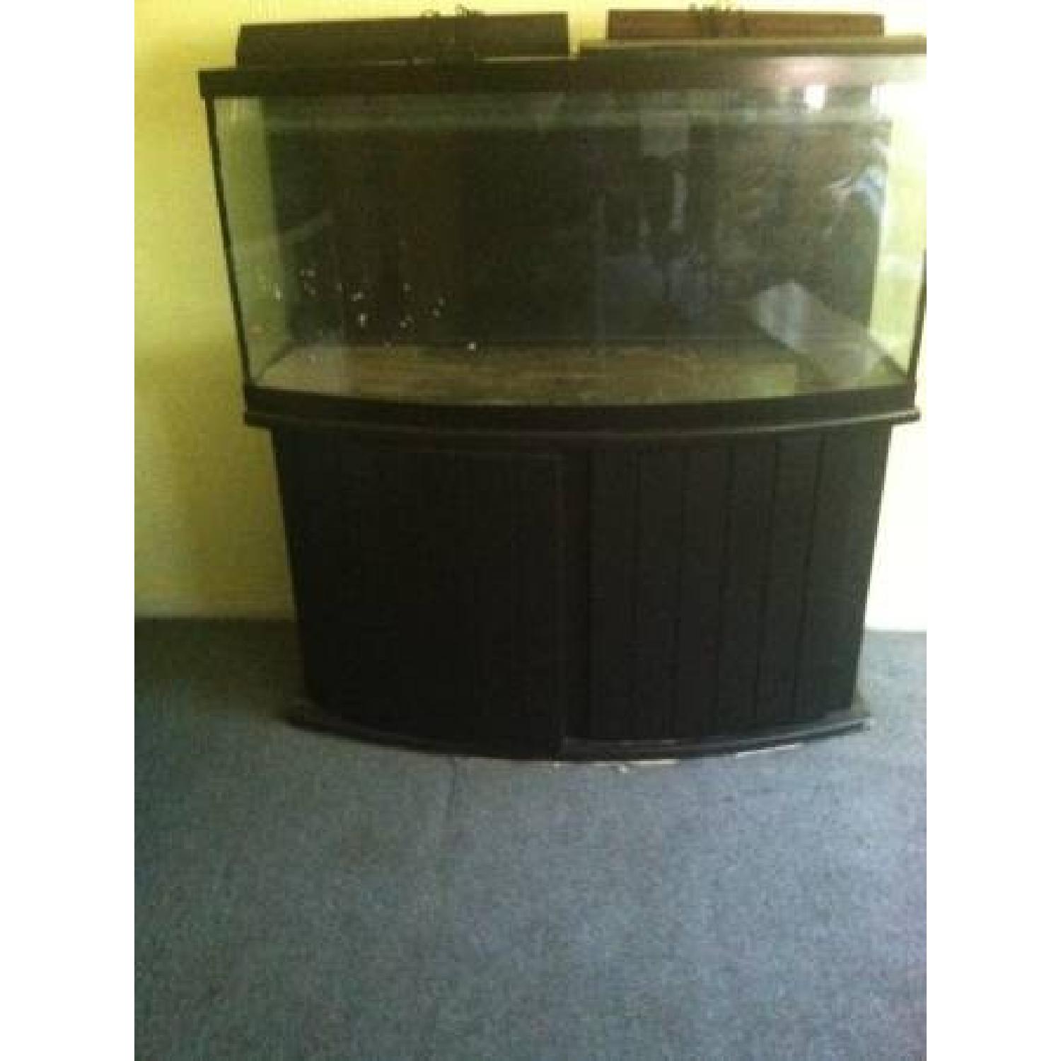 70 Gallon Fish Tank and Stand - image-2