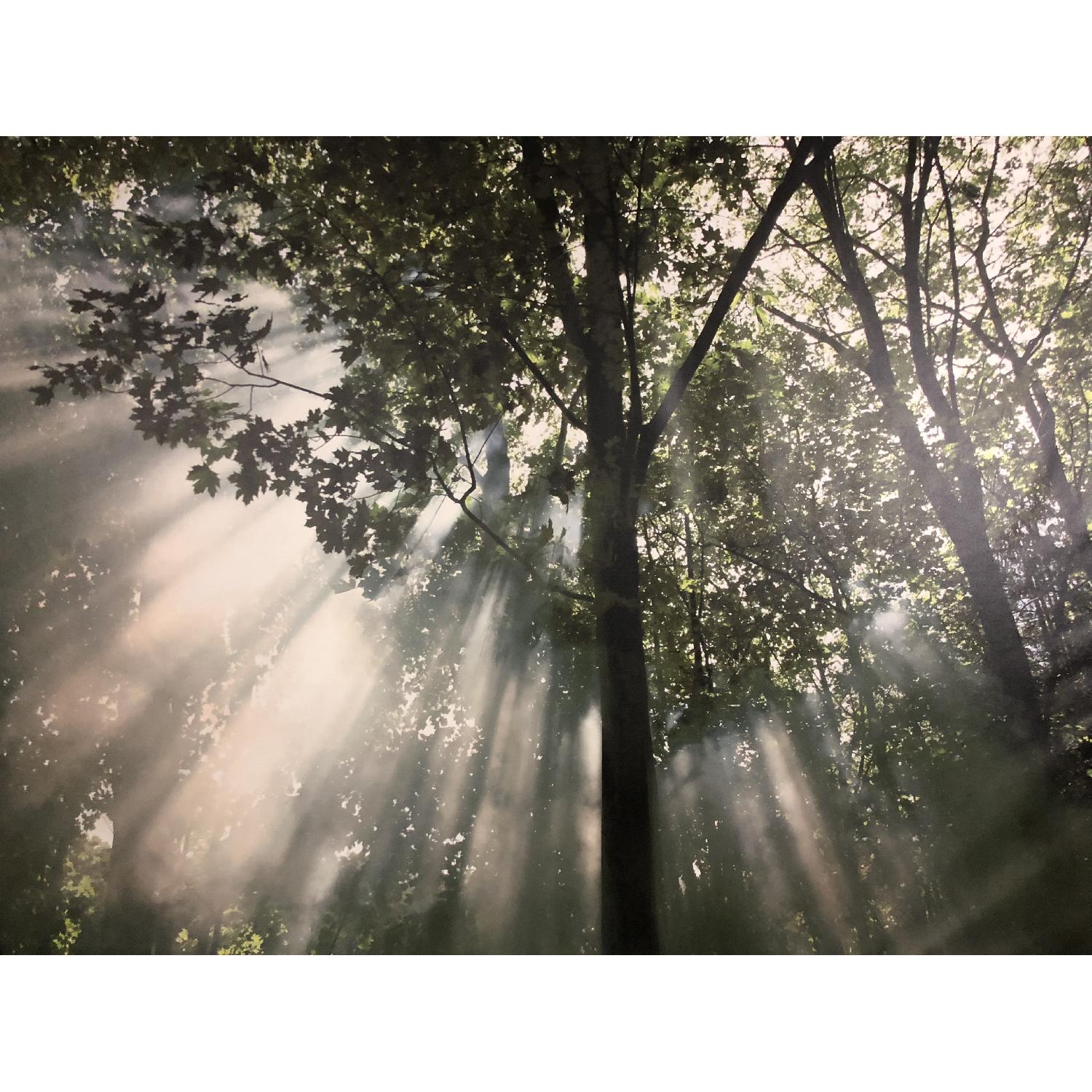 Ikea Wall Art - image-2