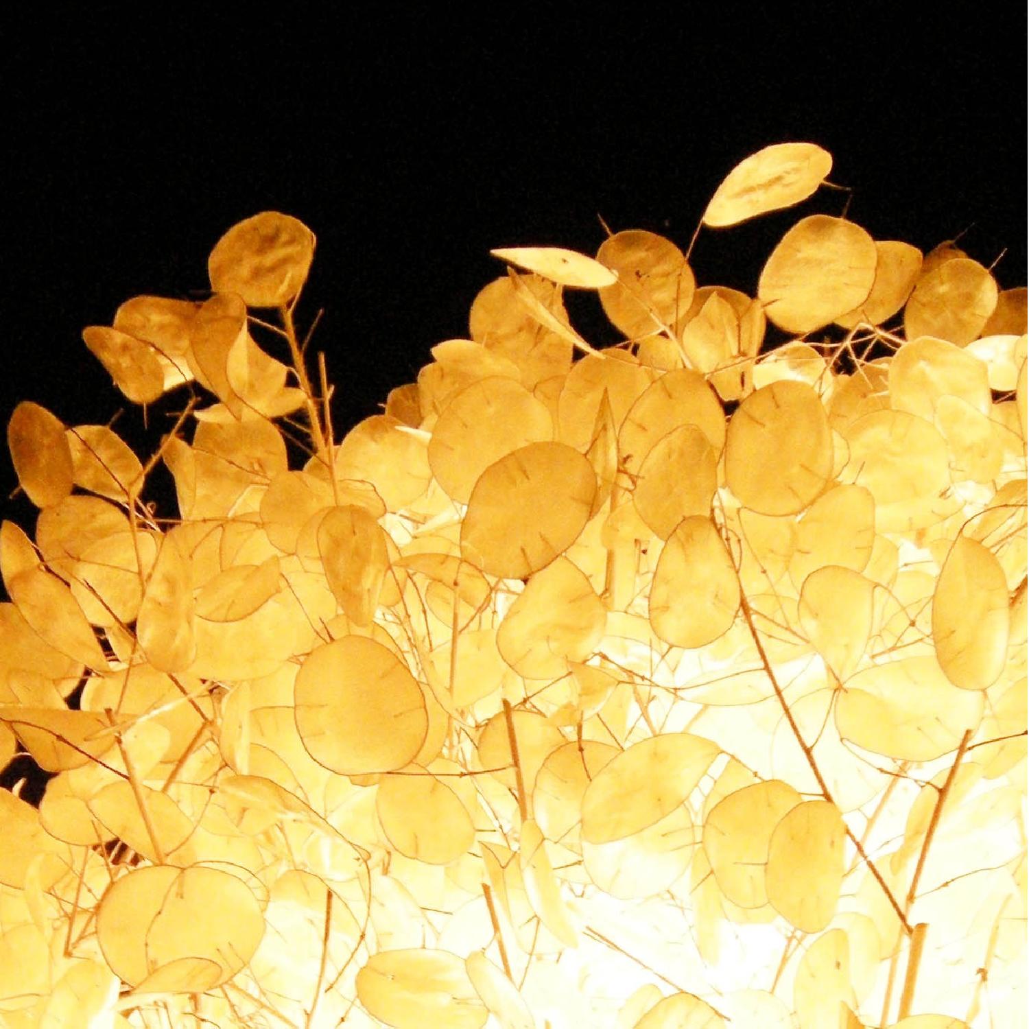 Designo Patagonia Hanging Lamp - image-2