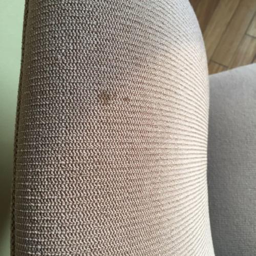 Used Crate & Barrel Wood Upholstered Dining Chair for sale on AptDeco