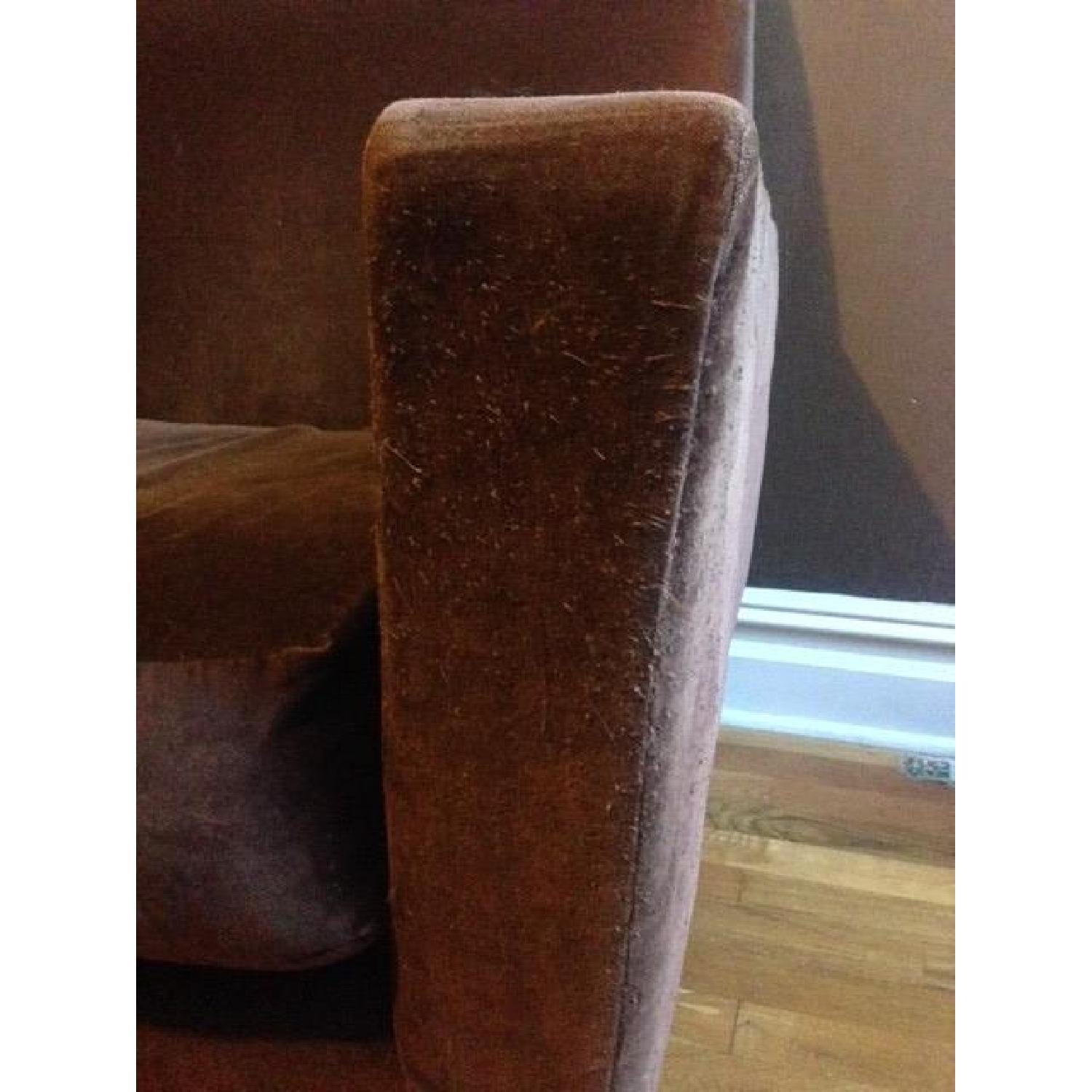 Carter Brown Velvet Sofa - image-4