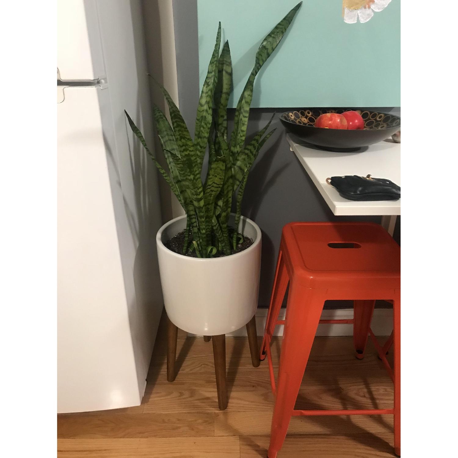 West Elm Turned Wood Leg Standing Planter - image-2