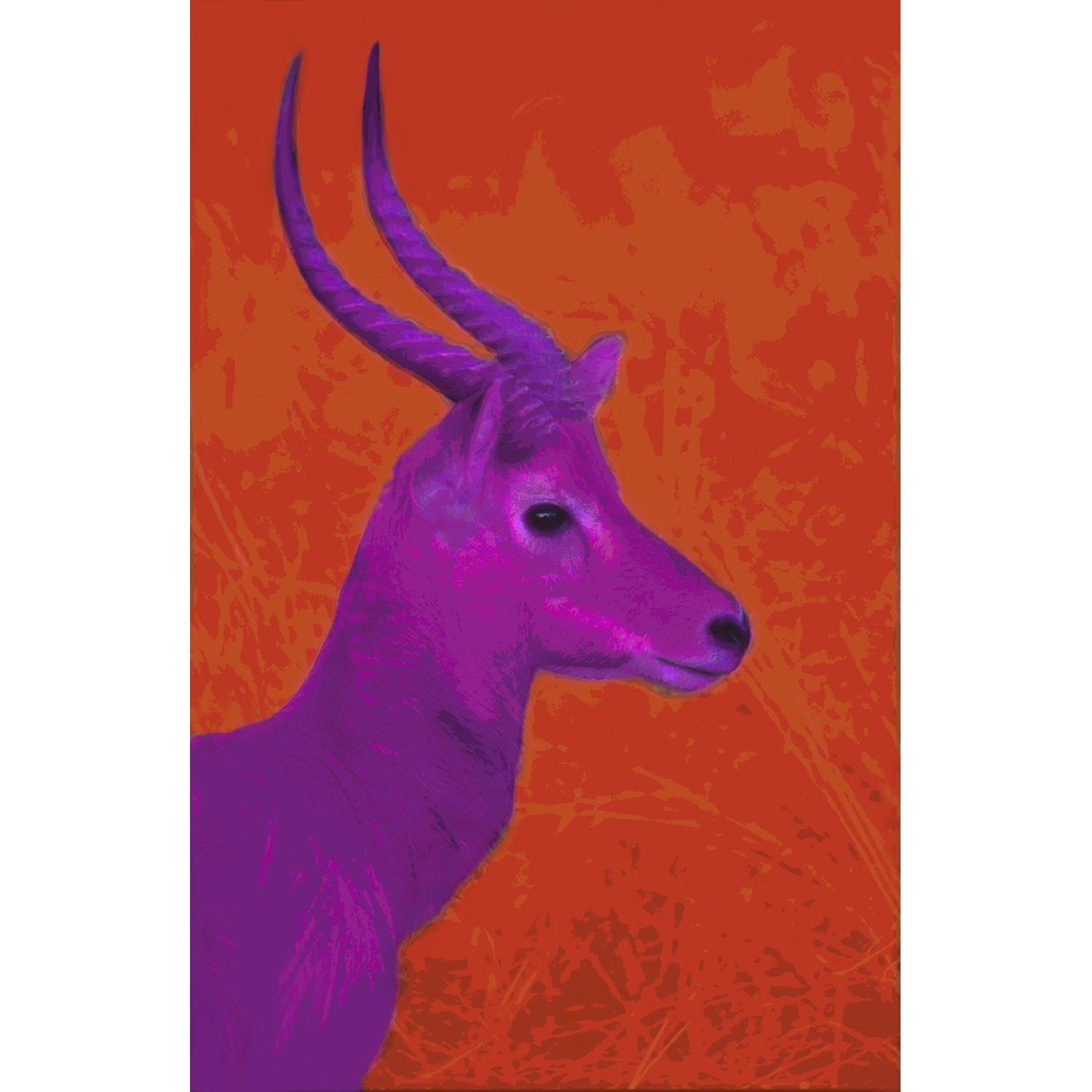 Modern Art Piece - African Antelope on Plexi - image-0