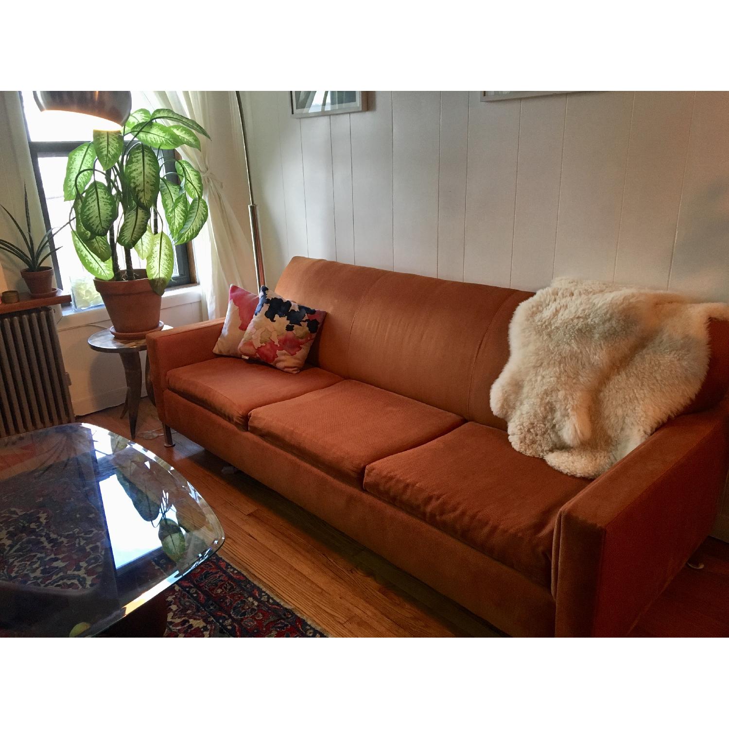 Burnt Orange Sofa - image-1