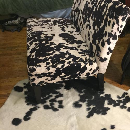 Used Cow Print Loveseat for sale on AptDeco