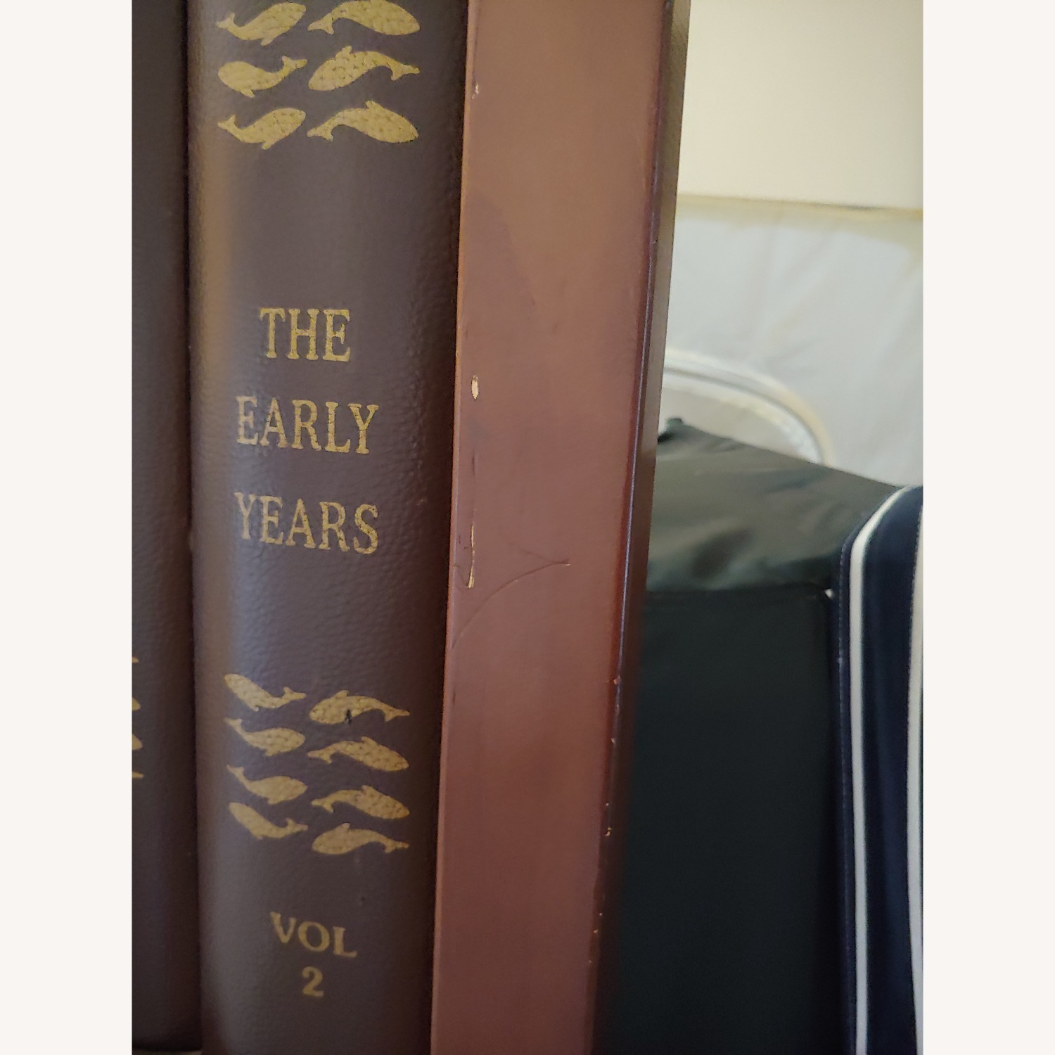 Laurash Faux Book Screen - image-6