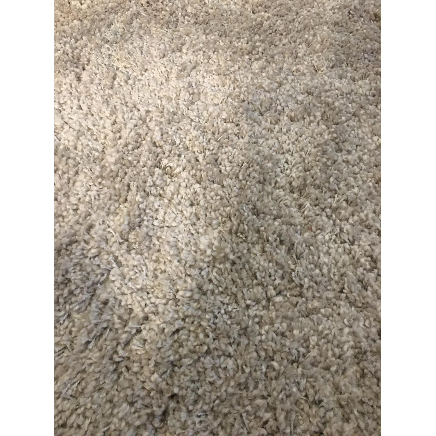 Carpet Art Deco Nuage Soho Shag Area Rug AptDeco