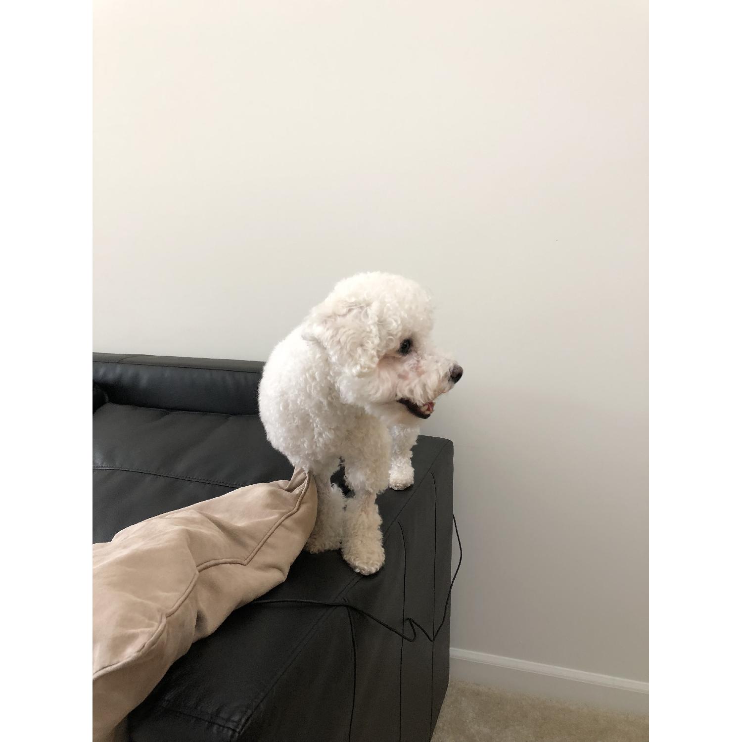 Ikea Friheten Sleeper Sofa in Bomstad Black - image-5